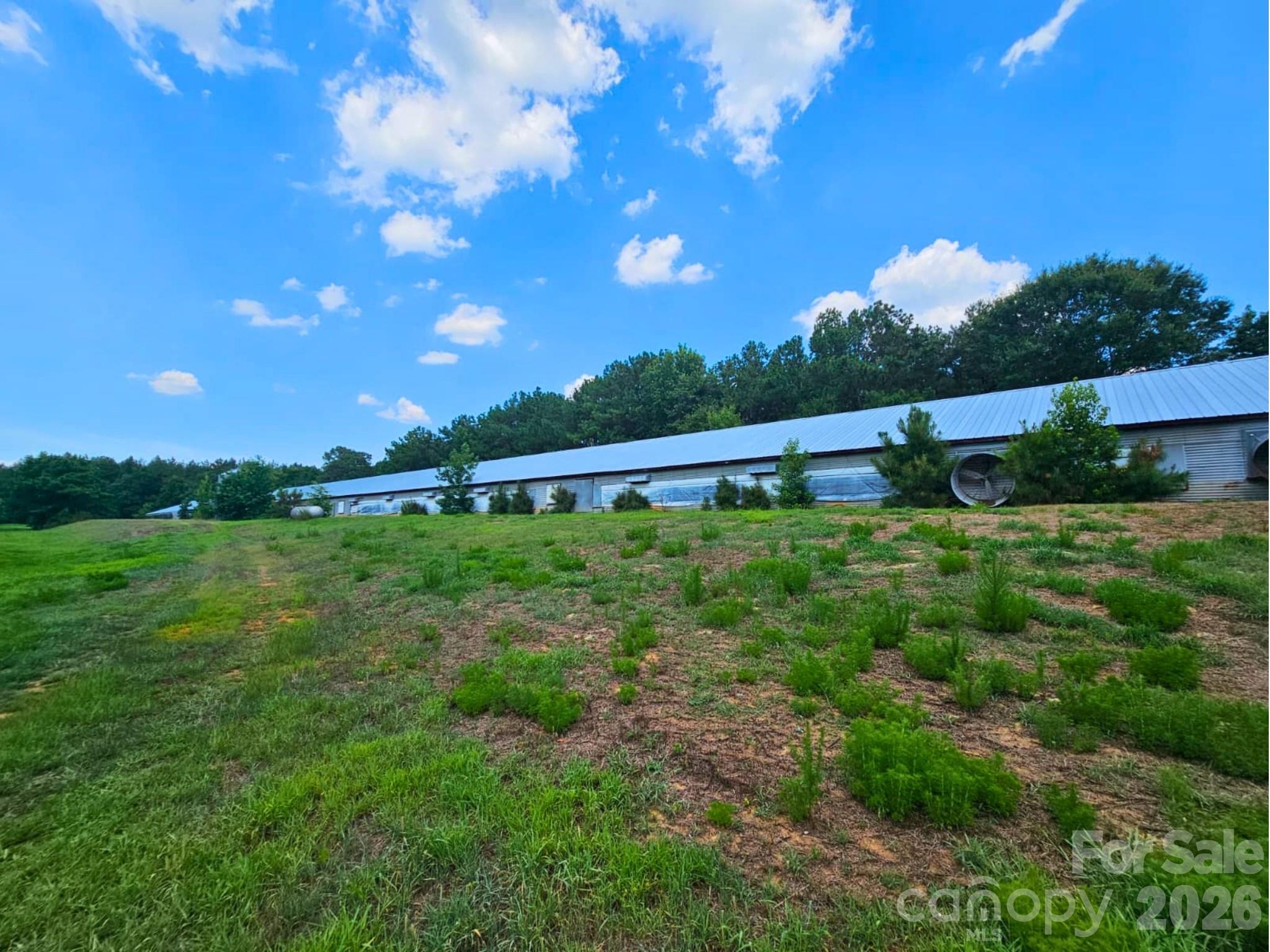 3145 Upper White Store Road 381 Property Photo 5