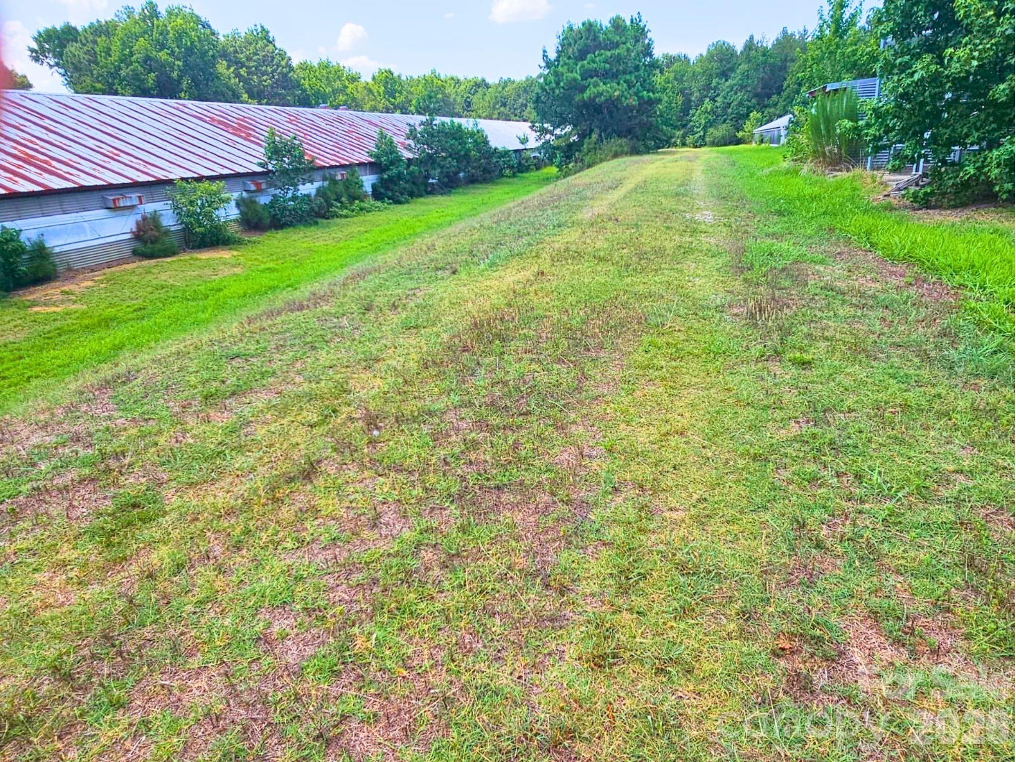 3145 Upper White Store Road 381 Property Photo 12