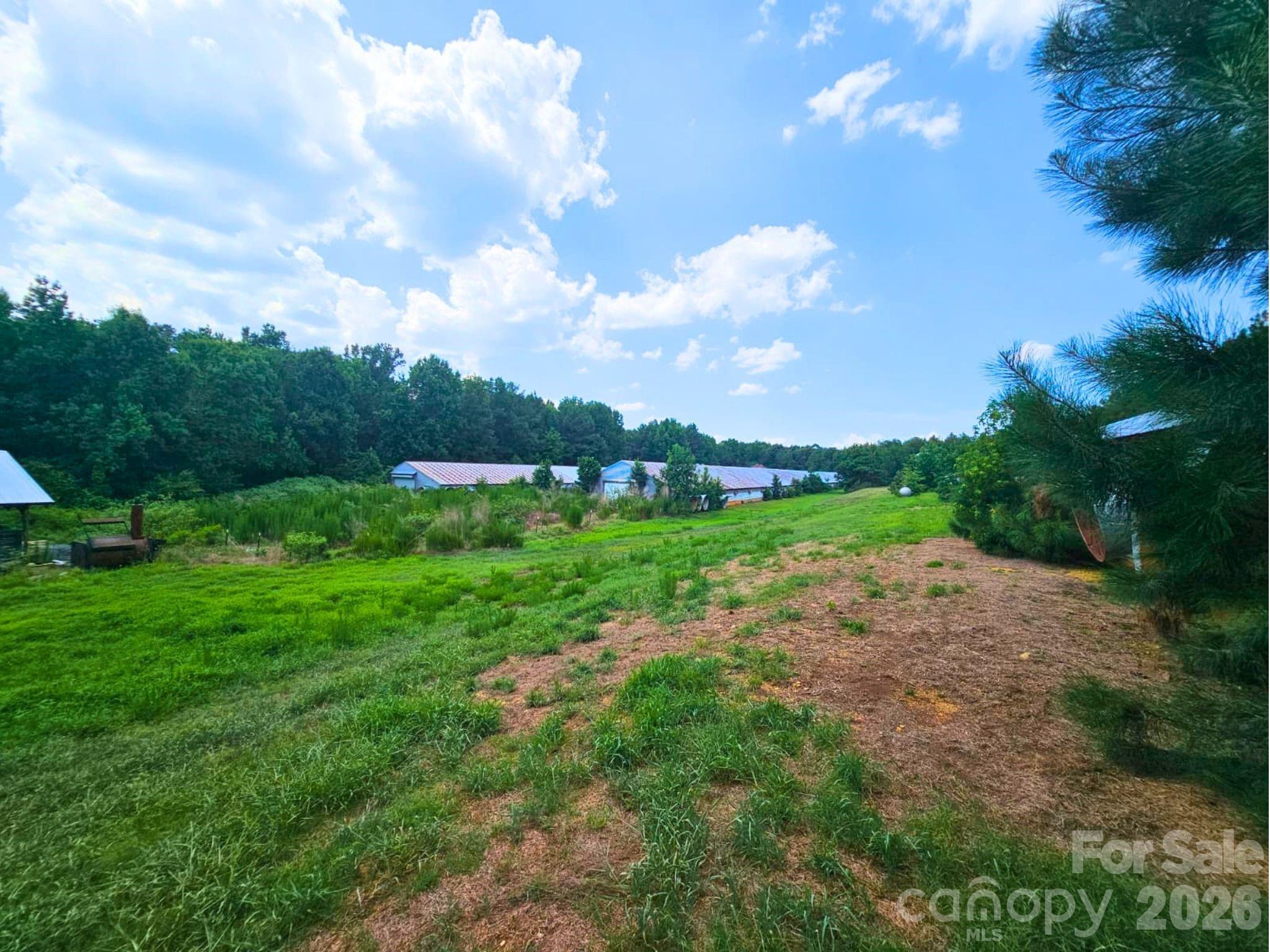 3145 Upper White Store Road 381 Property Photo 14