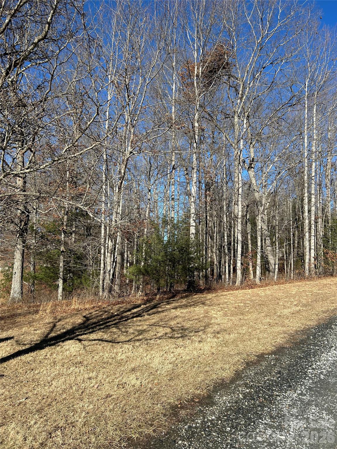 Tbd Bear Den Road 23 Property Photo 1