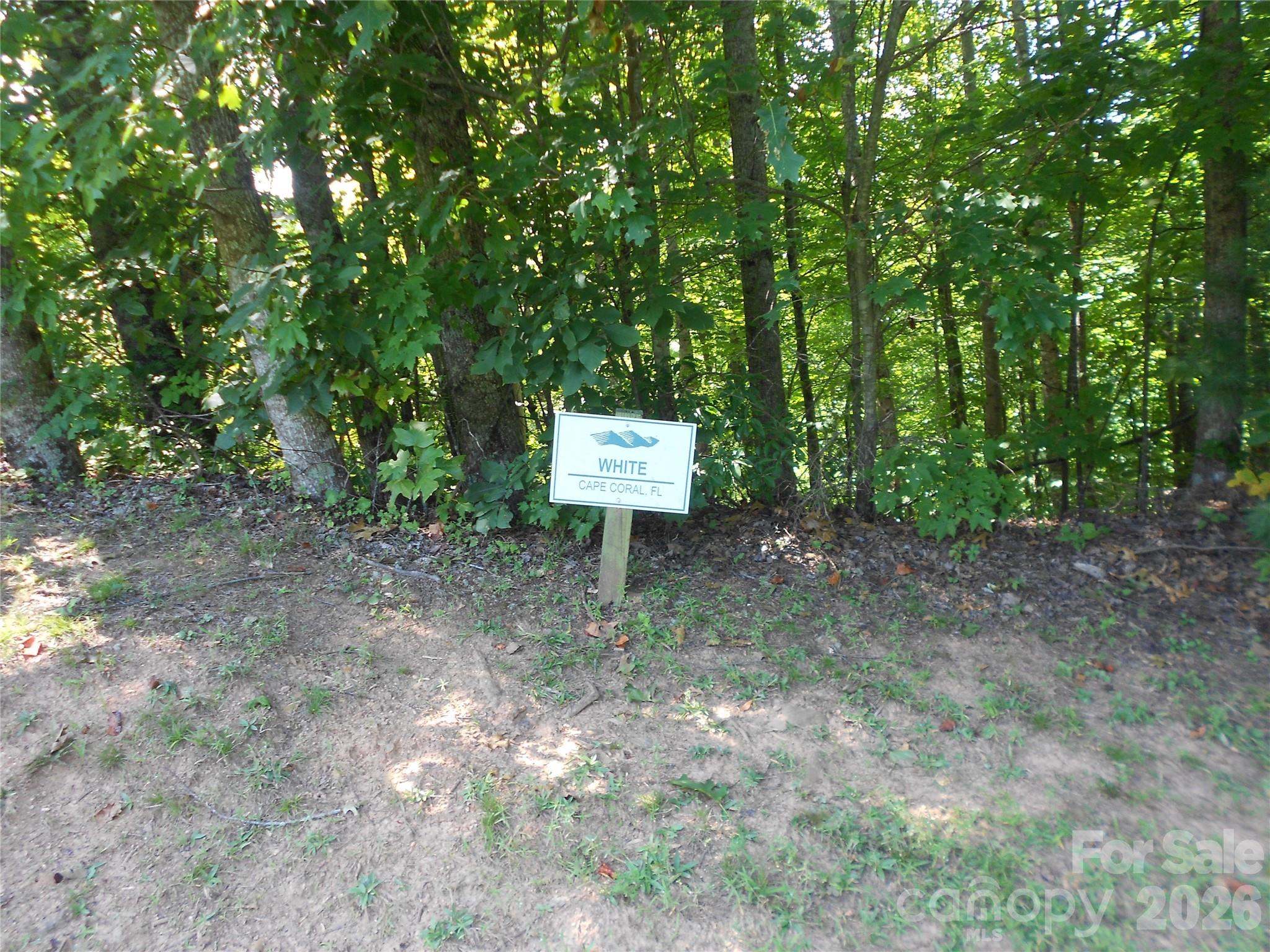 0000 Johns Ridge Parkway Property Photo 4