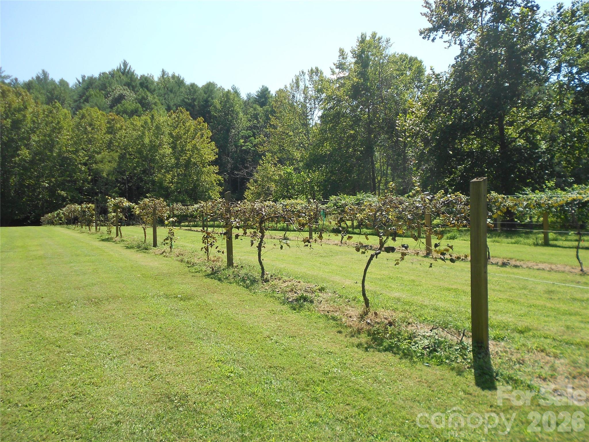 0000 Johns Ridge Parkway Property Photo 12
