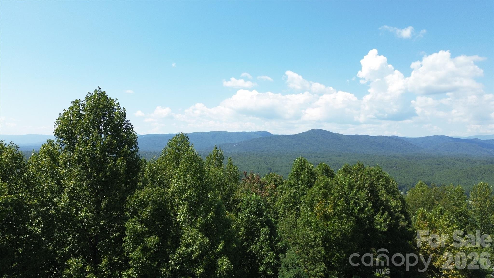 0000 Johns Ridge Parkway Property Photo 28