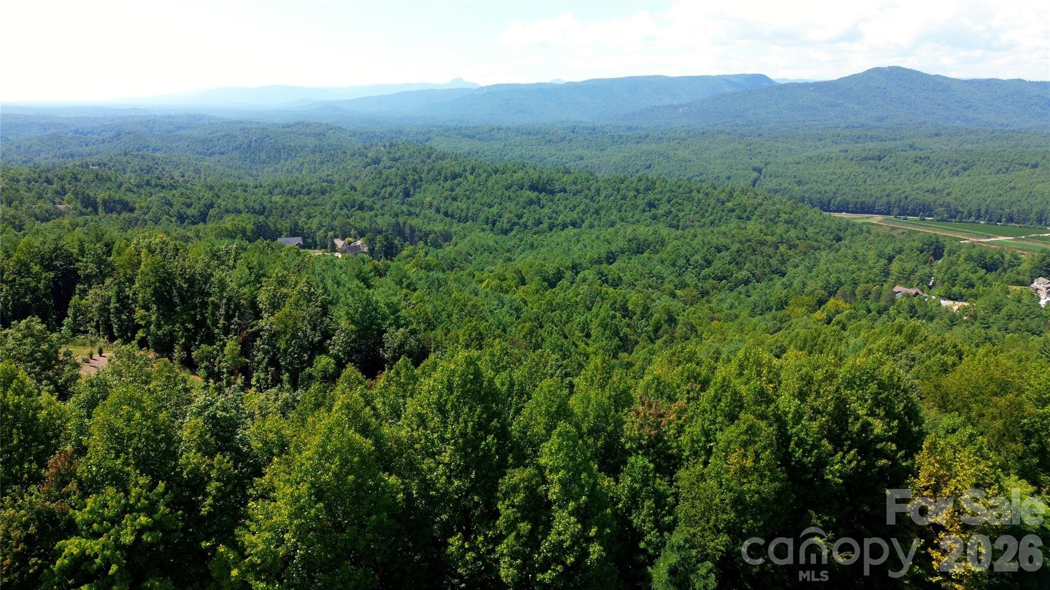 0000 Johns Ridge Parkway Property Photo 30