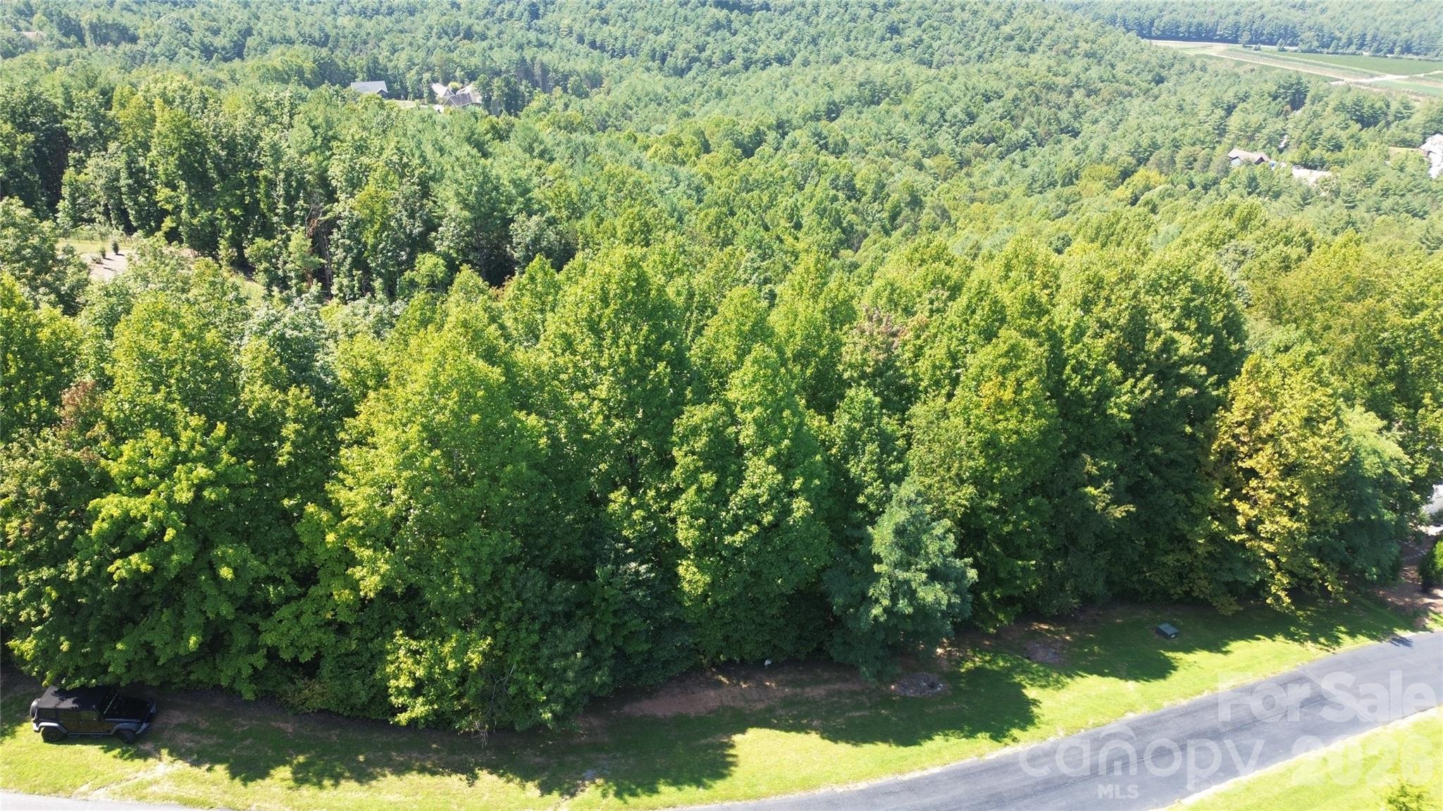 0000 Johns Ridge Parkway Property Photo 31