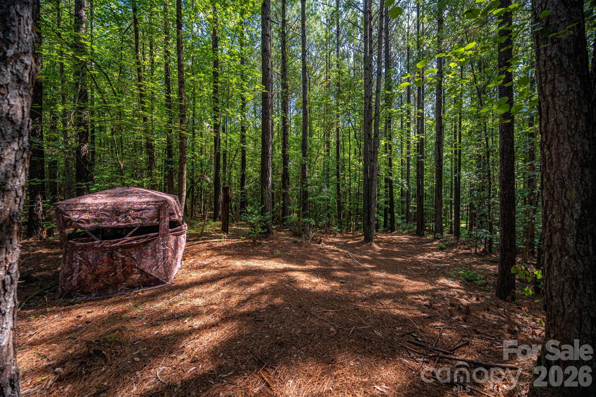 511 Carter Trail Property Photo 32