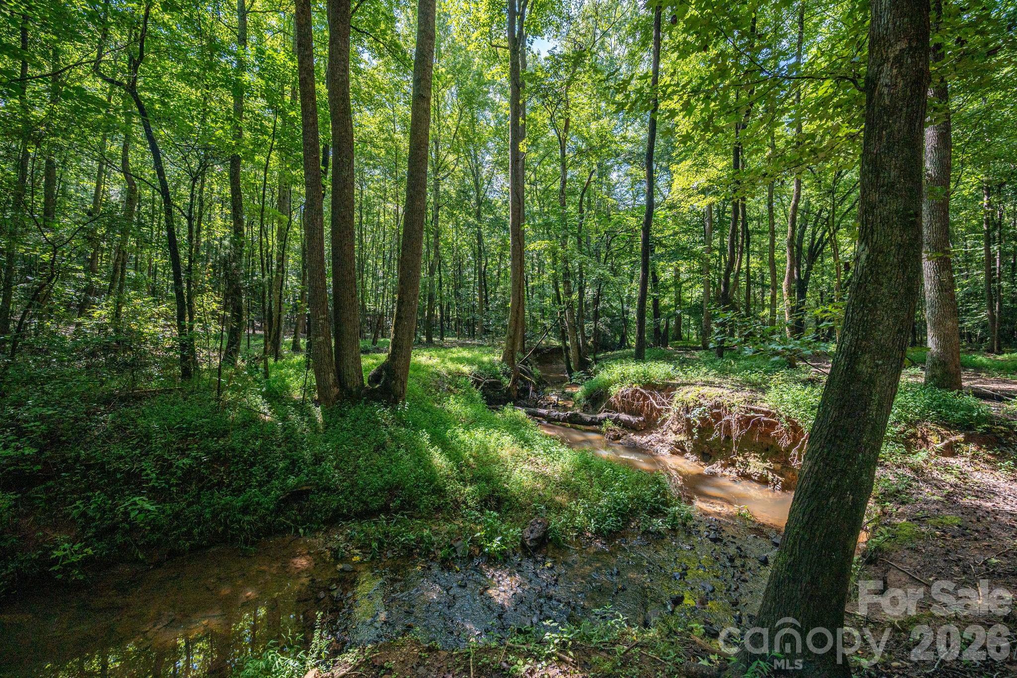 511 Carter Trail Property Photo 34