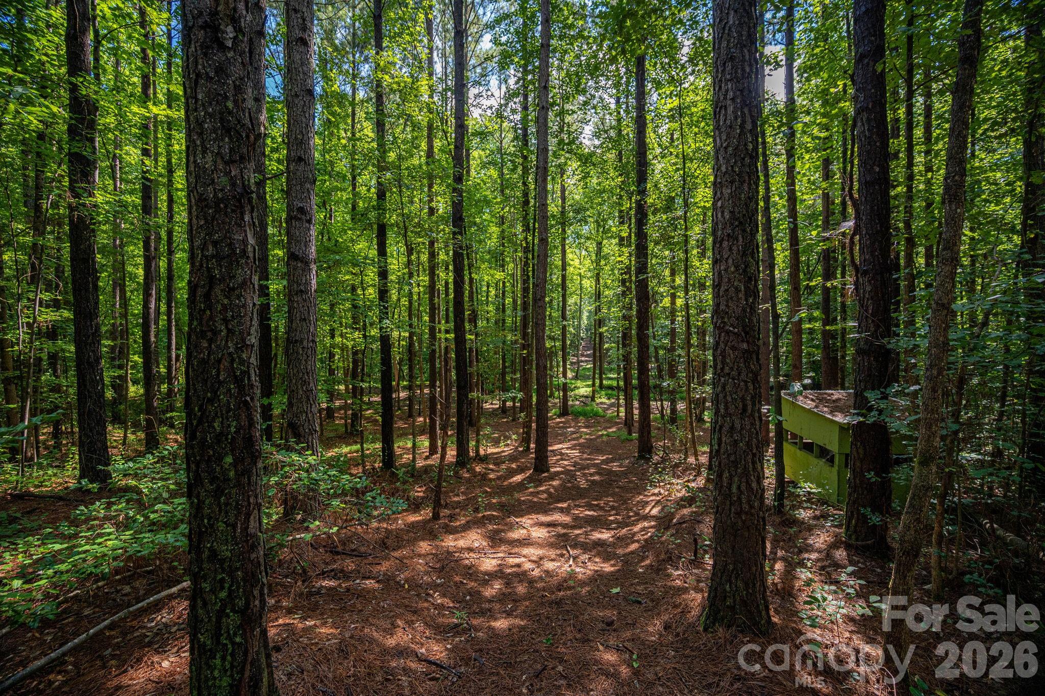 511 Carter Trail Property Photo 36