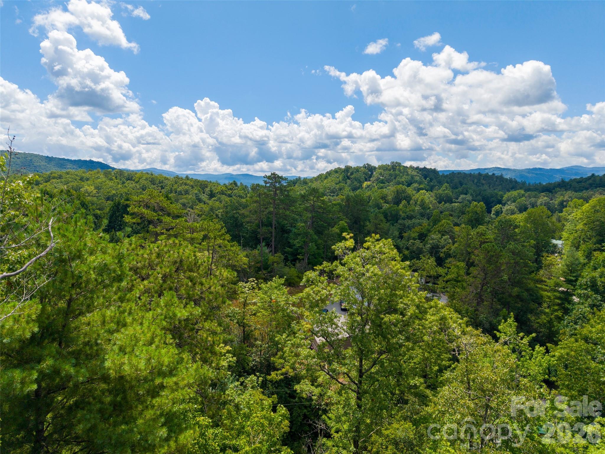000 Miracle Valley Property Photo 6