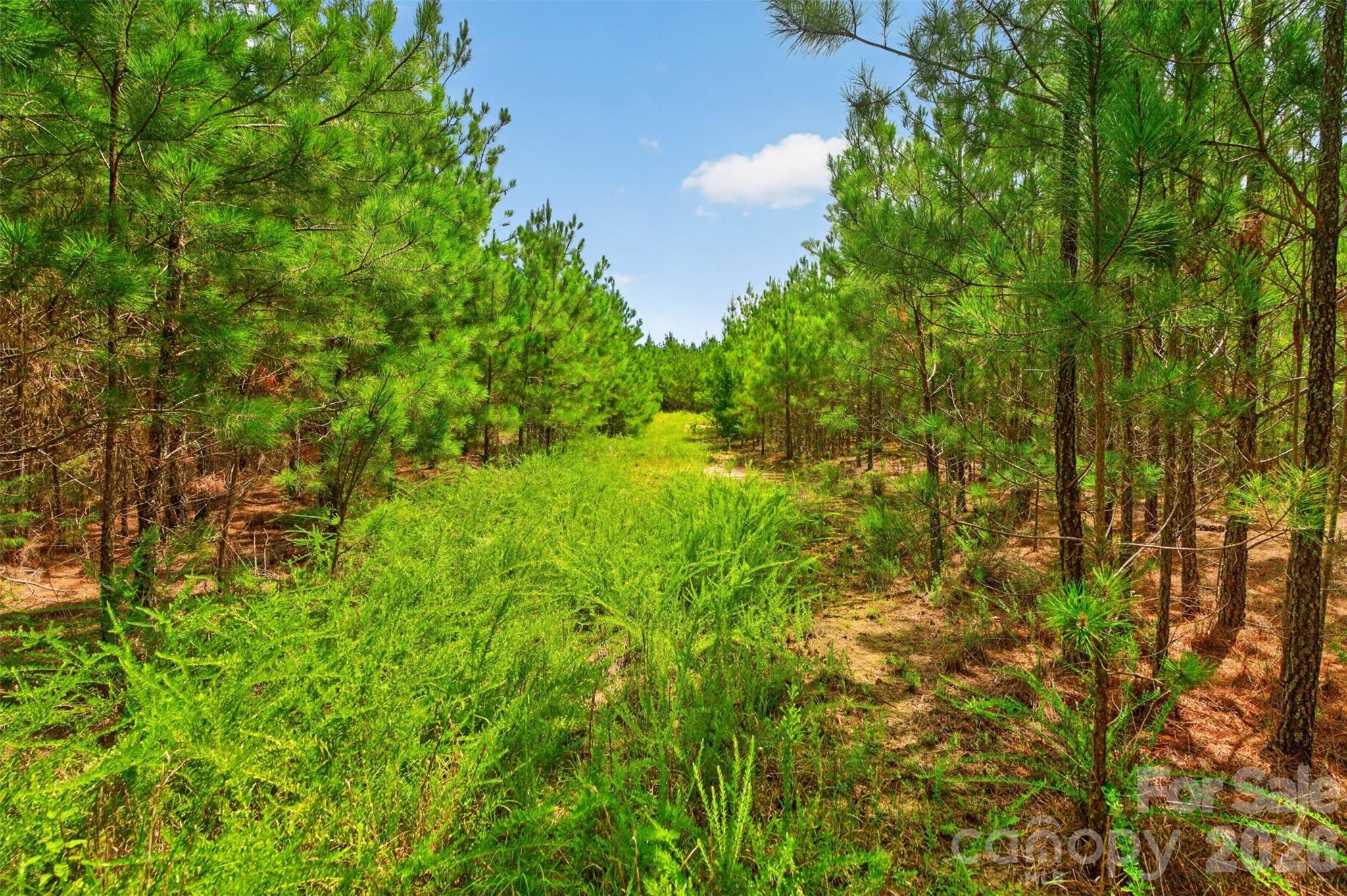 0000 Westbrook Road 5 Property Photo 7