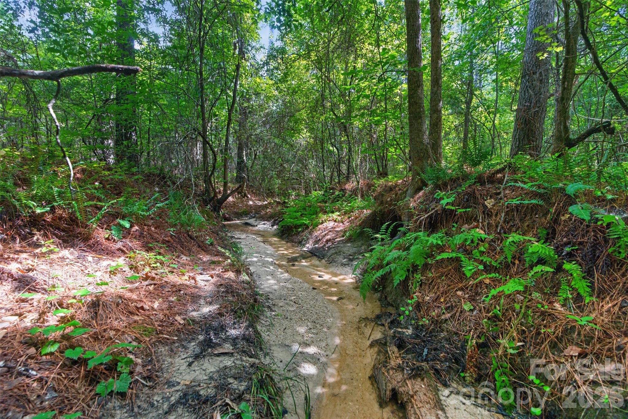0000 Westbrook Road 5 Property Photo 13