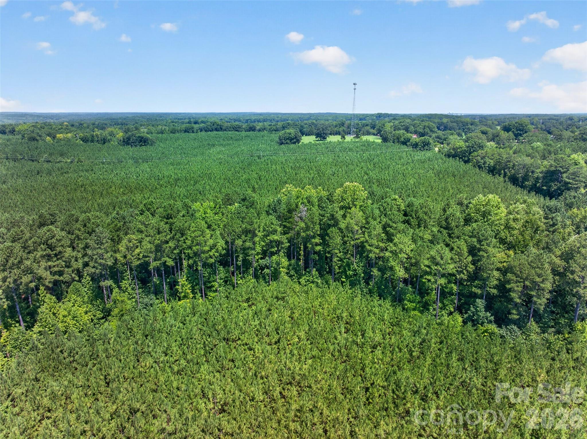 0000 Westbrook Road 5 Property Photo 17