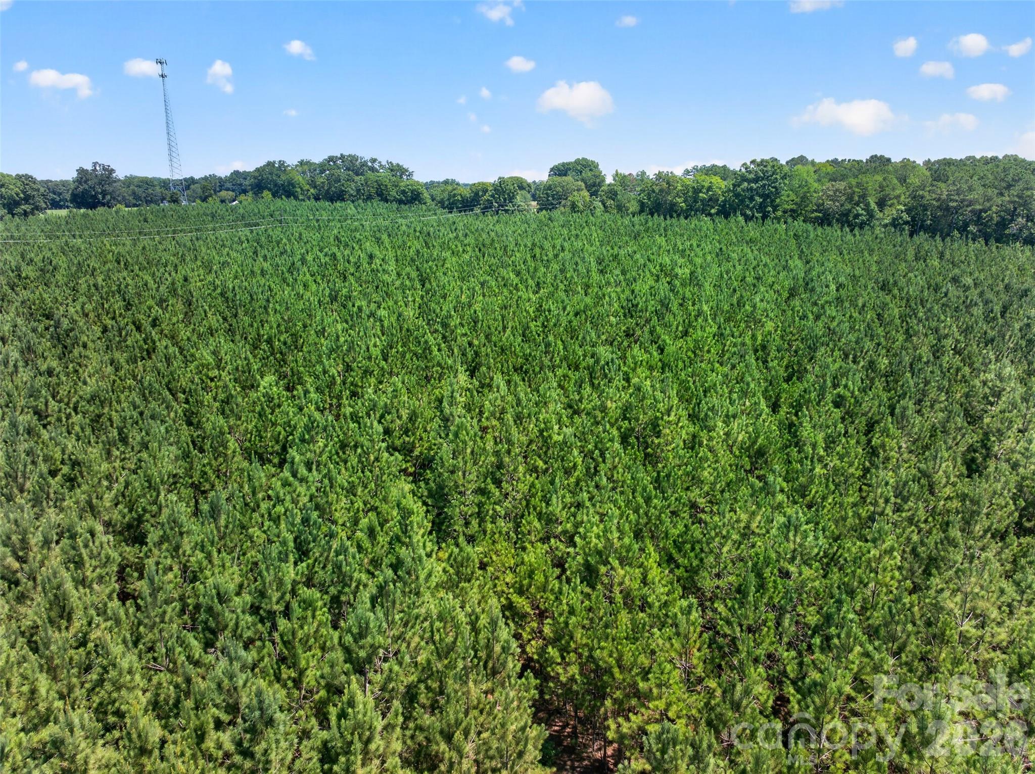 0000 Westbrook Road 5 Property Photo 18