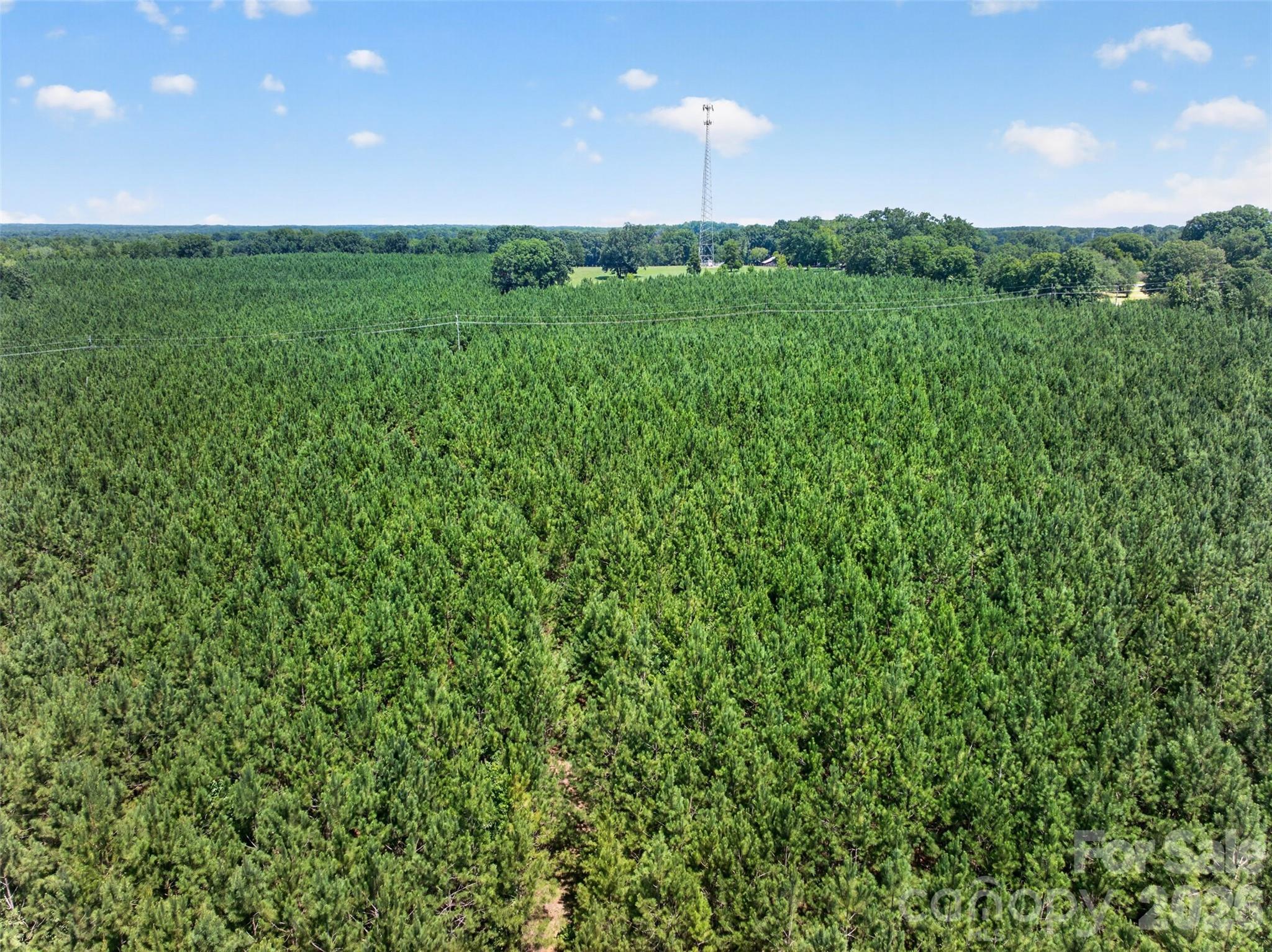 0000 Westbrook Road 5 Property Photo 19