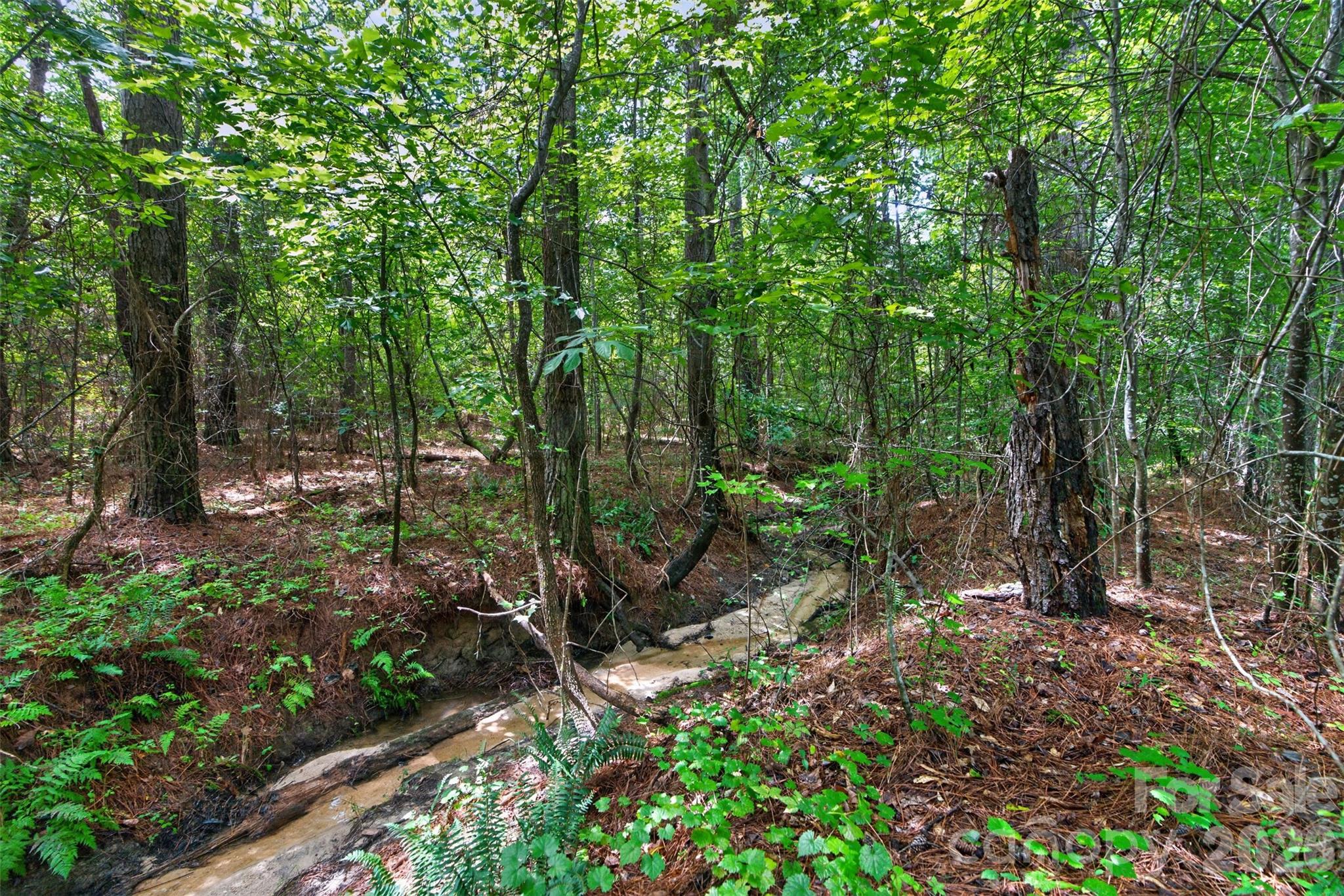 0000 Westbrook Road 5 Property Photo 26
