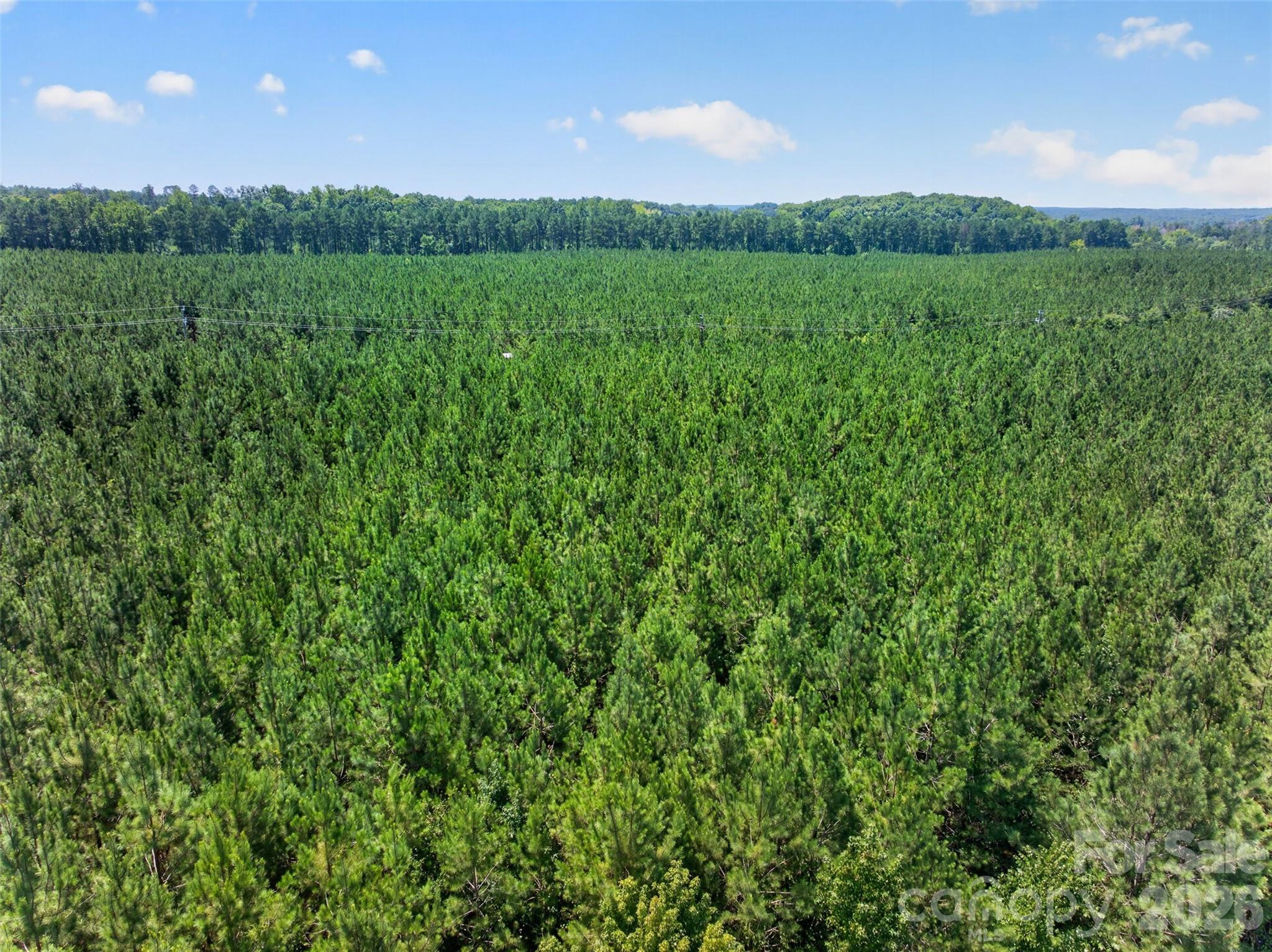 0000 Westbrook Road 5 Property Photo 31
