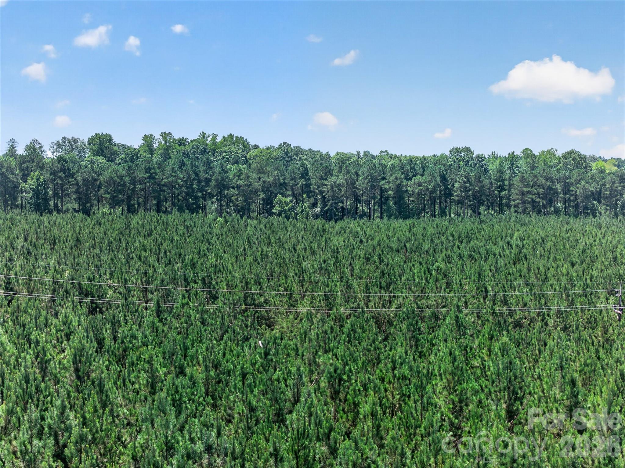 0000 Westbrook Road 5 Property Photo 32