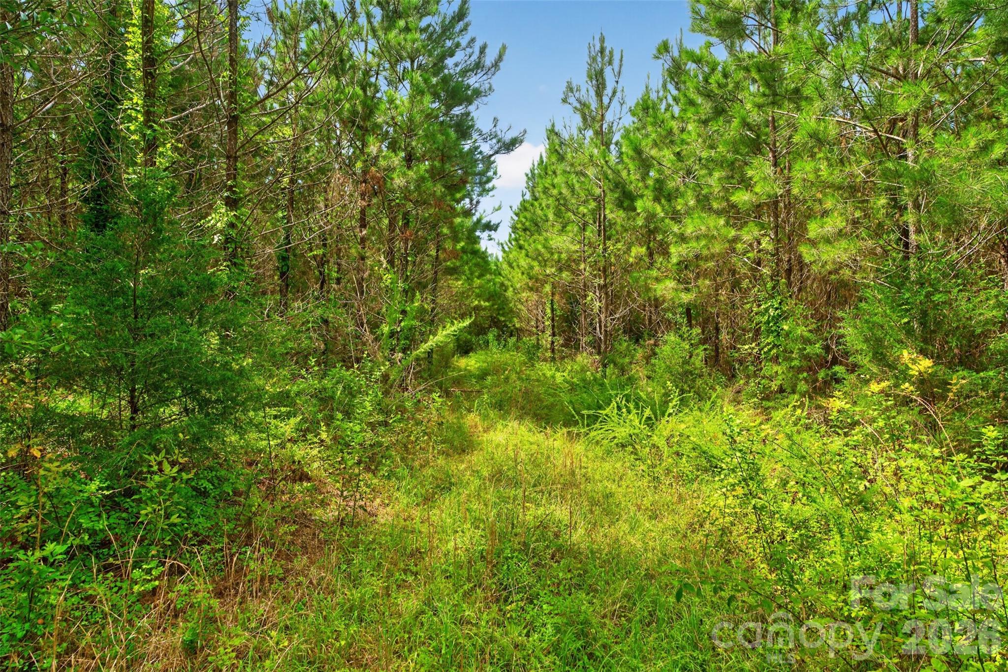 0000 Westbrook Road 5 Property Photo 36