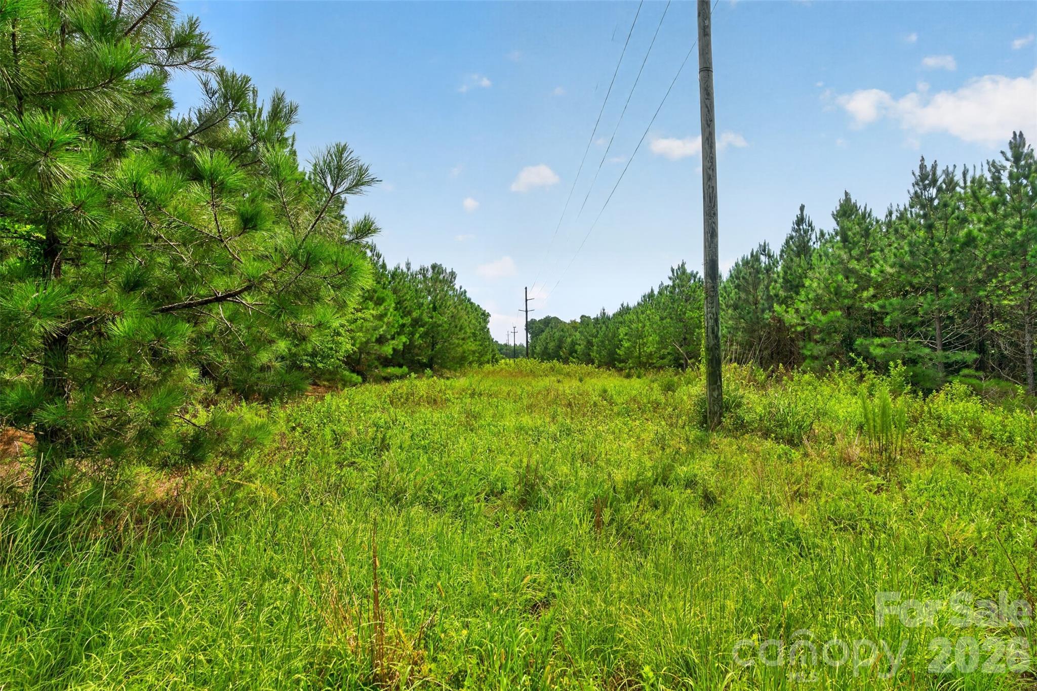 0000 Westbrook Road 5 Property Photo 38