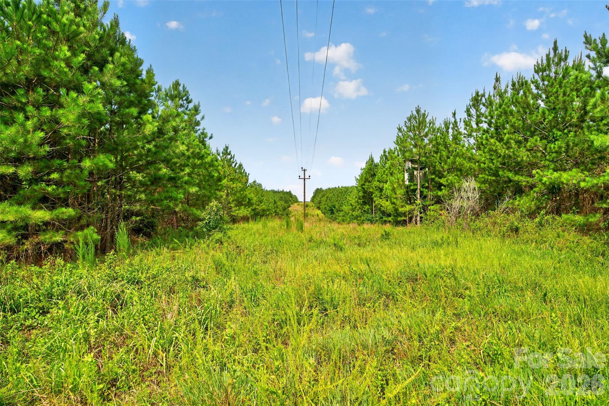 0000 Westbrook Road 5 Property Photo 39