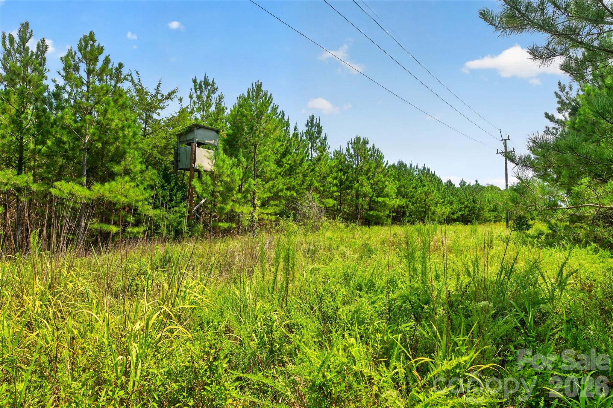 0000 Westbrook Road 5 Property Photo 47