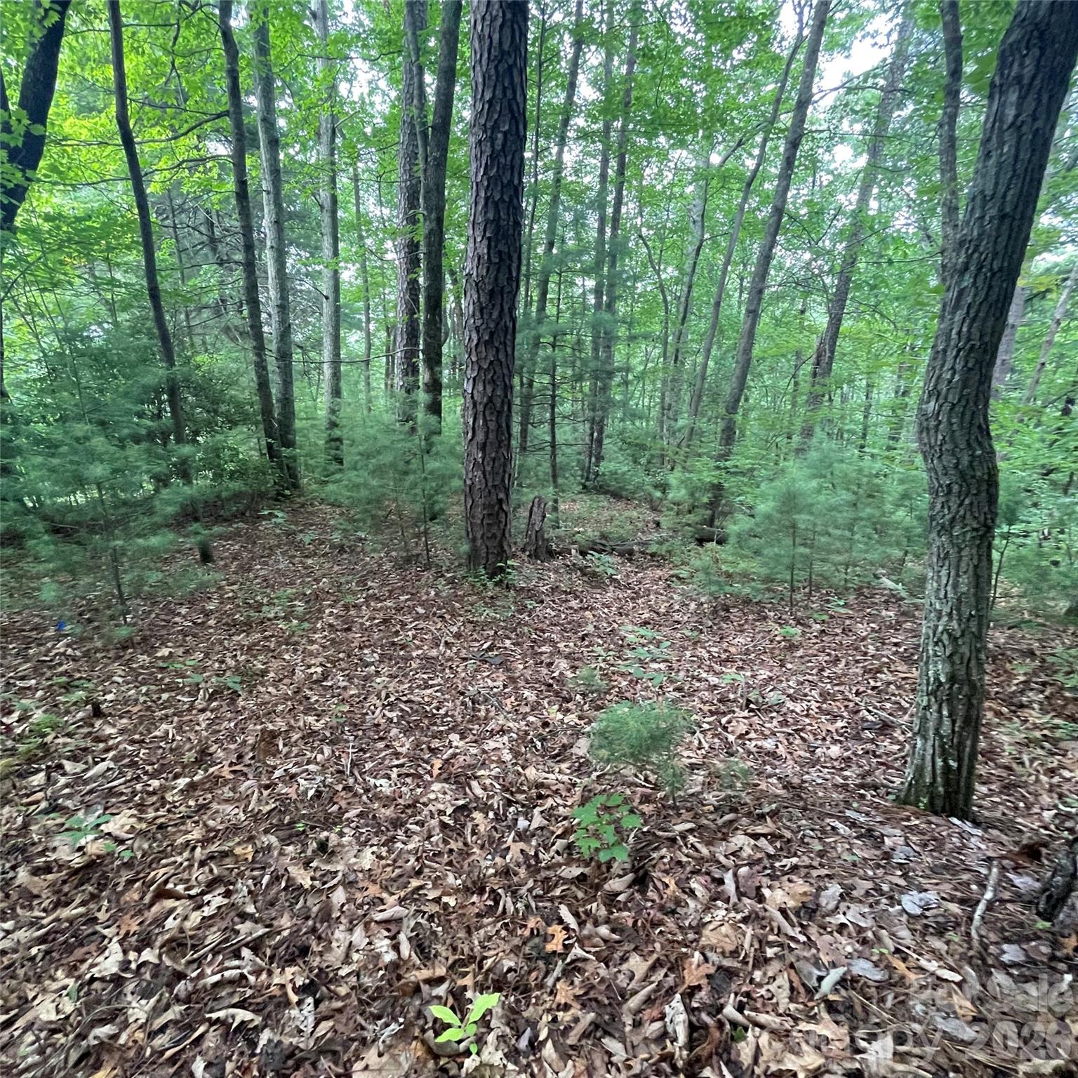 106 Red Mulberry Drive Property Photo 1