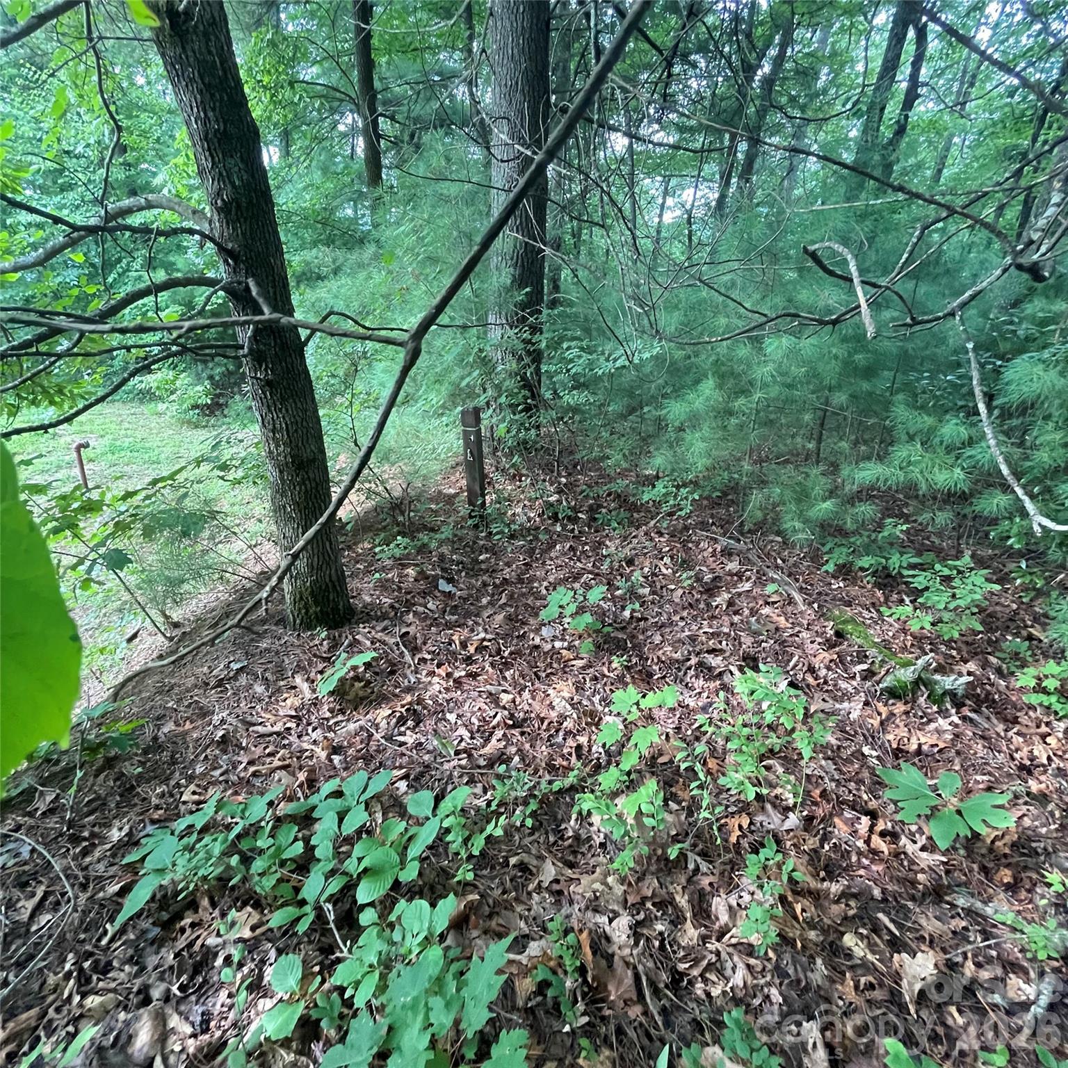 106 Red Mulberry Drive Property Photo 3