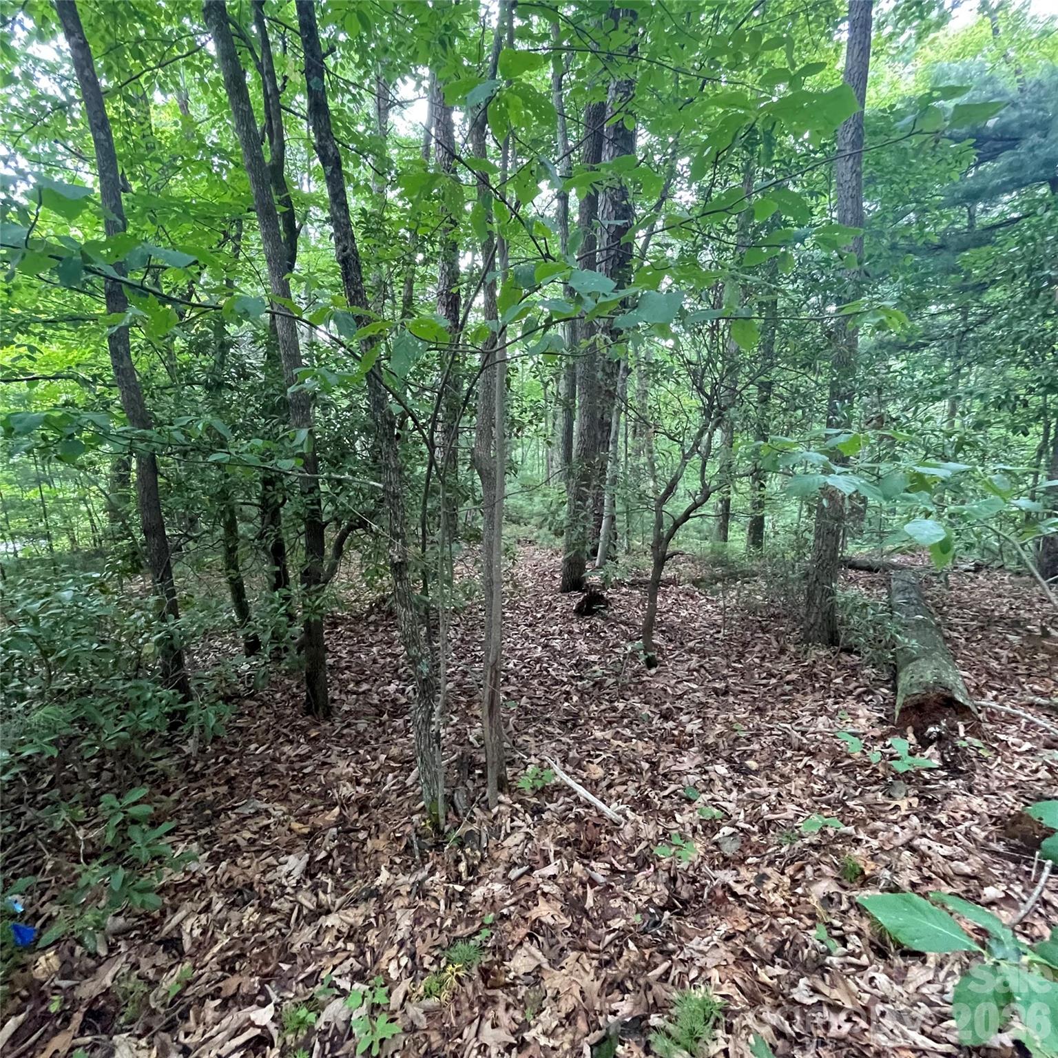 106 Red Mulberry Drive Property Photo 7