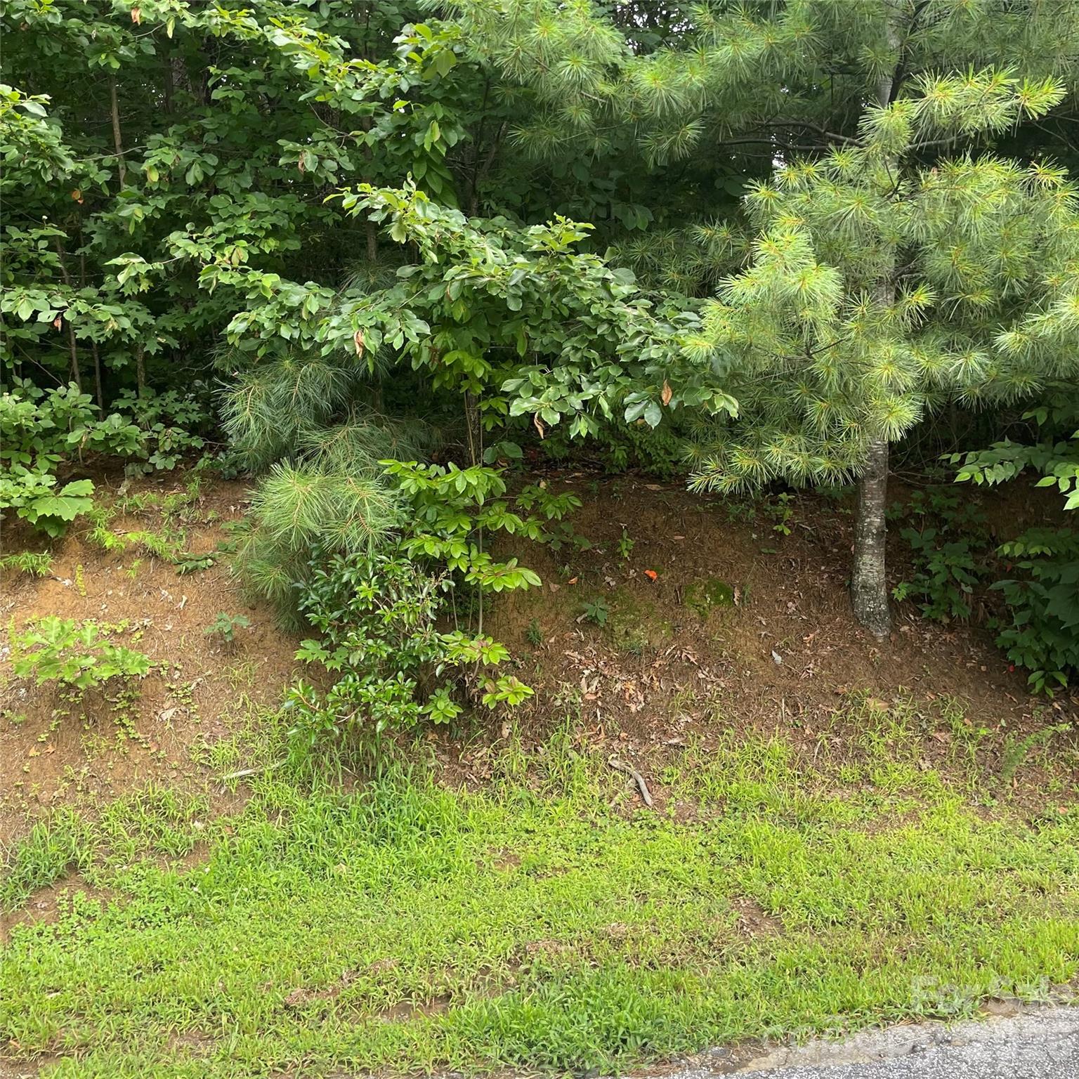 106 Red Mulberry Drive Property Photo 8