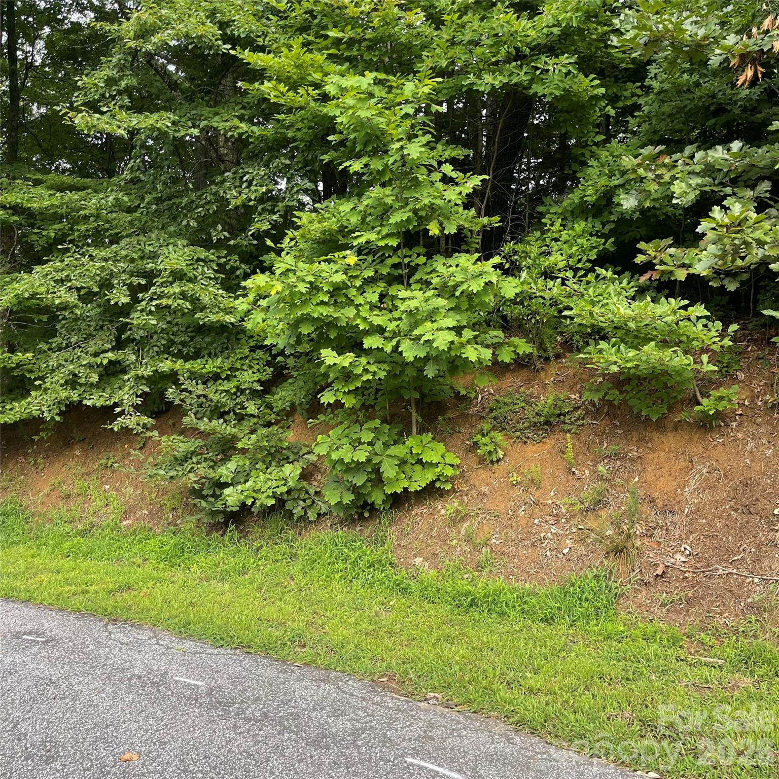 106 Red Mulberry Drive Property Photo 9