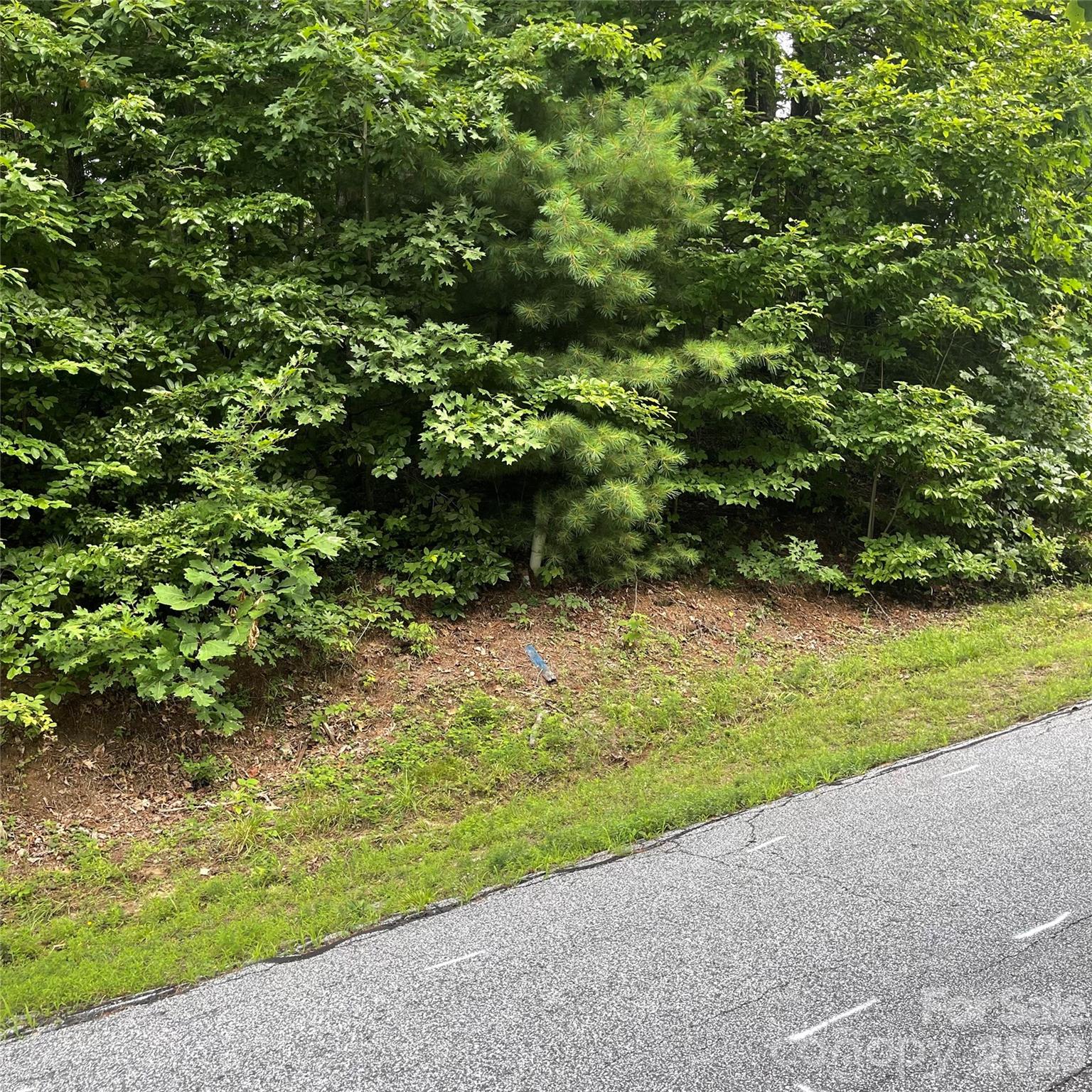 106 Red Mulberry Drive Property Photo 10