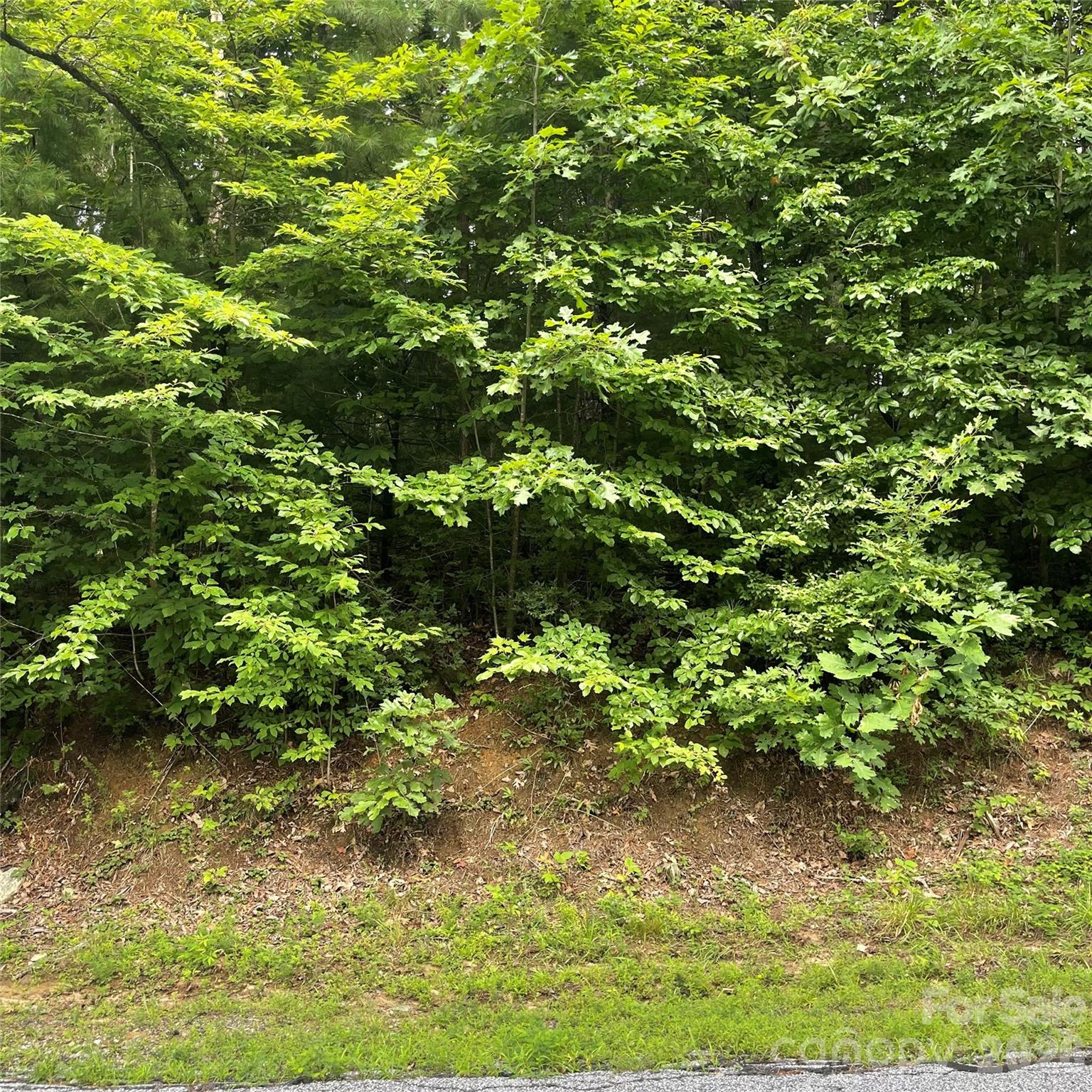 106 Red Mulberry Drive Property Photo 11