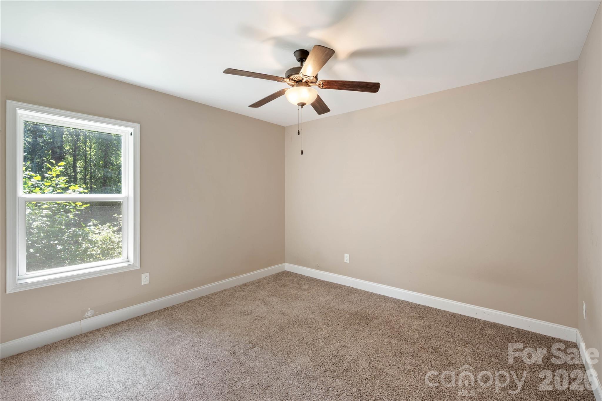 72 Summer Shade Court Property Photo 22