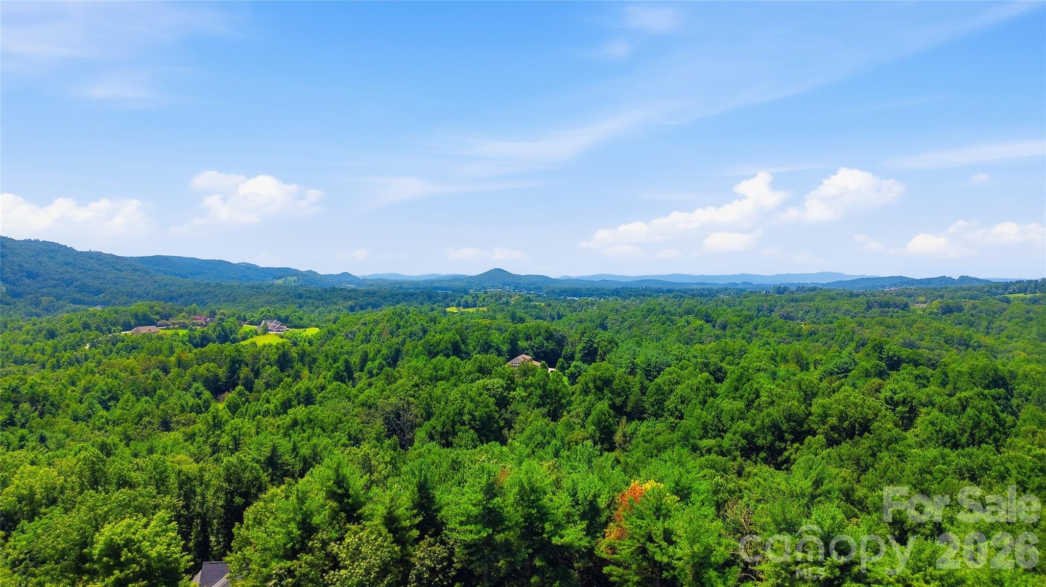 72 Summer Shade Court Property Photo 34