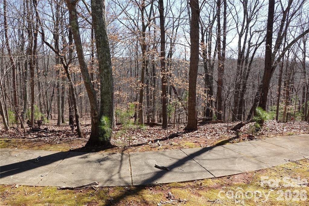 14427 Roe Buck Meadow Lane Property Photo 2