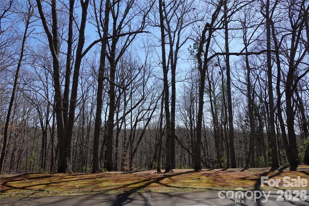 14427 Roe Buck Meadow Lane Property Photo 3