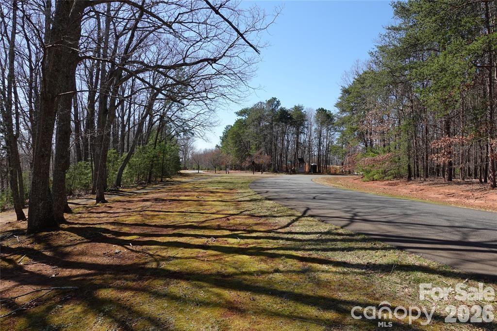 14427 Roe Buck Meadow Lane Property Photo 4