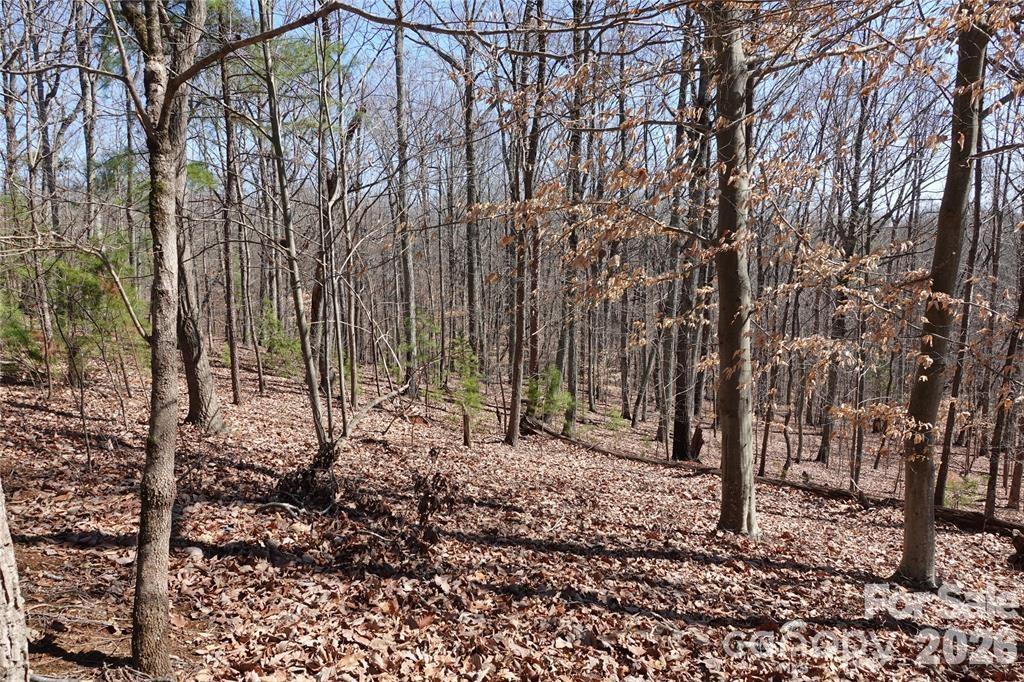 14427 Roe Buck Meadow Lane Property Photo 5