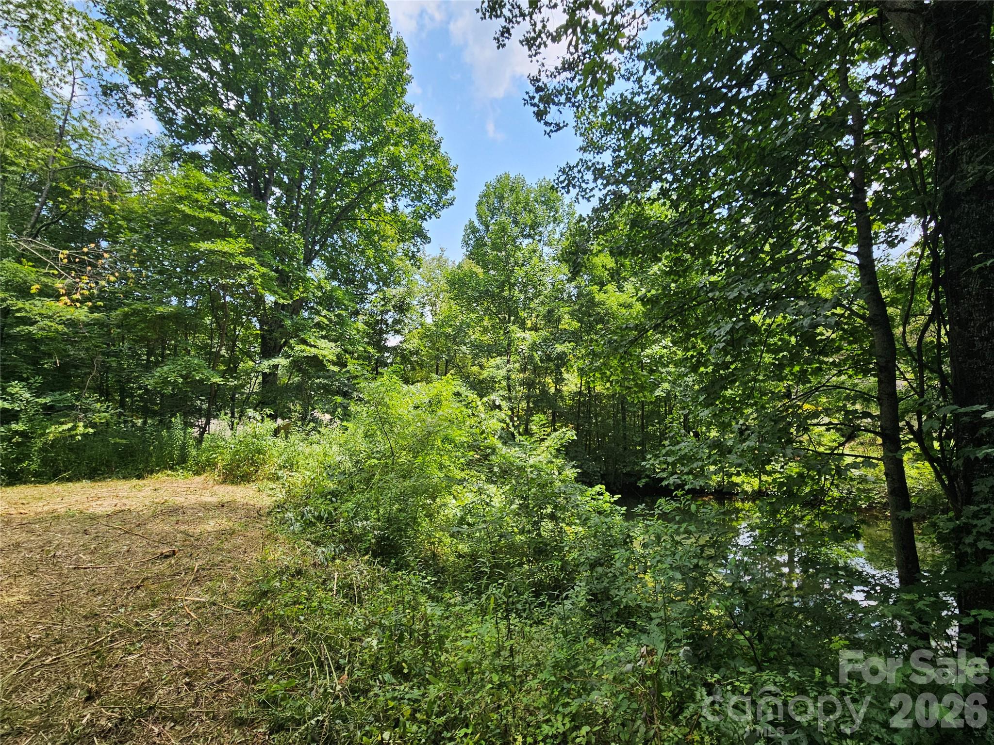 638 Crystal Tree Drive Property Photo 2