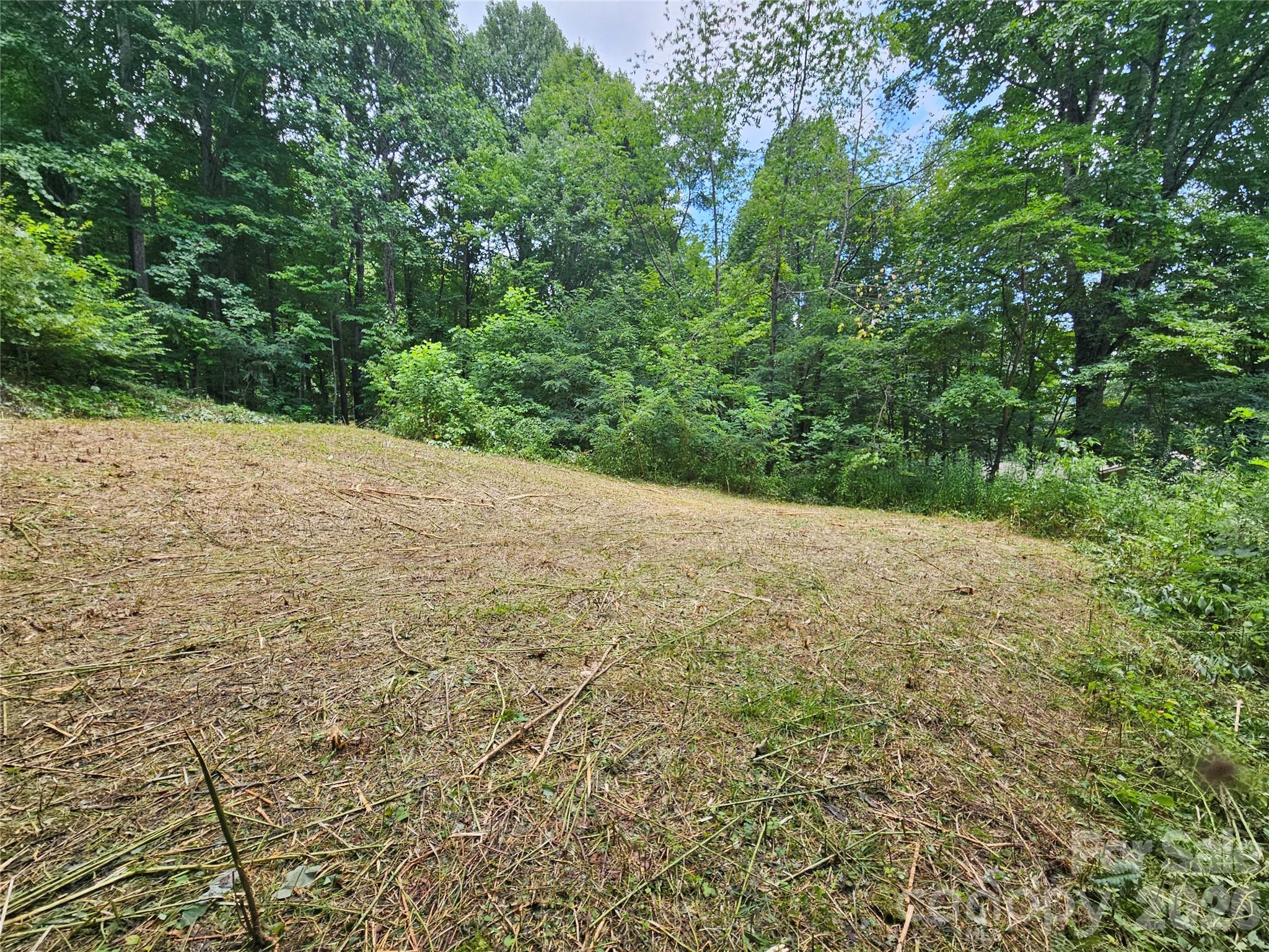 638 Crystal Tree Drive Property Photo 3