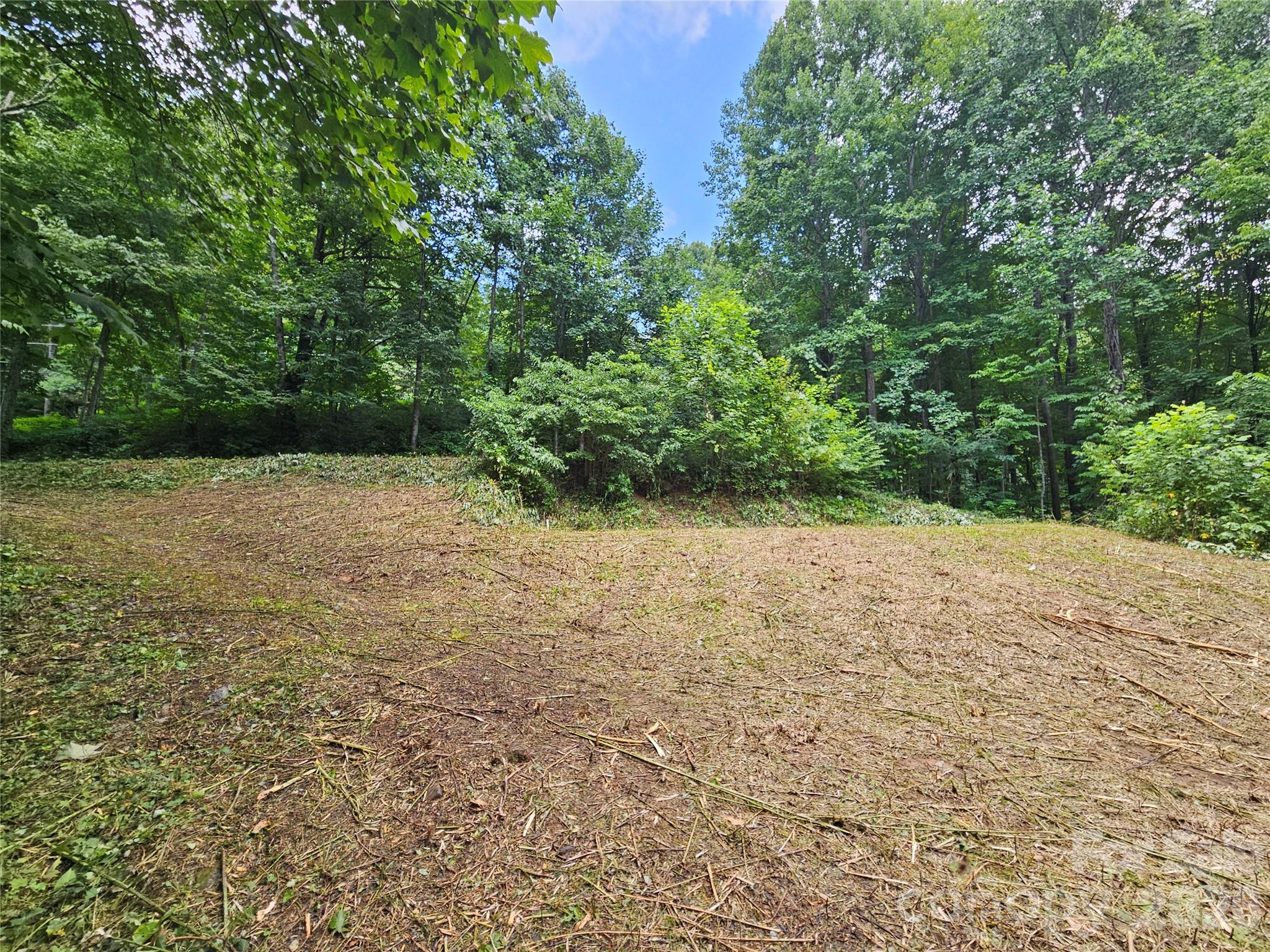 638 Crystal Tree Drive Property Photo 4