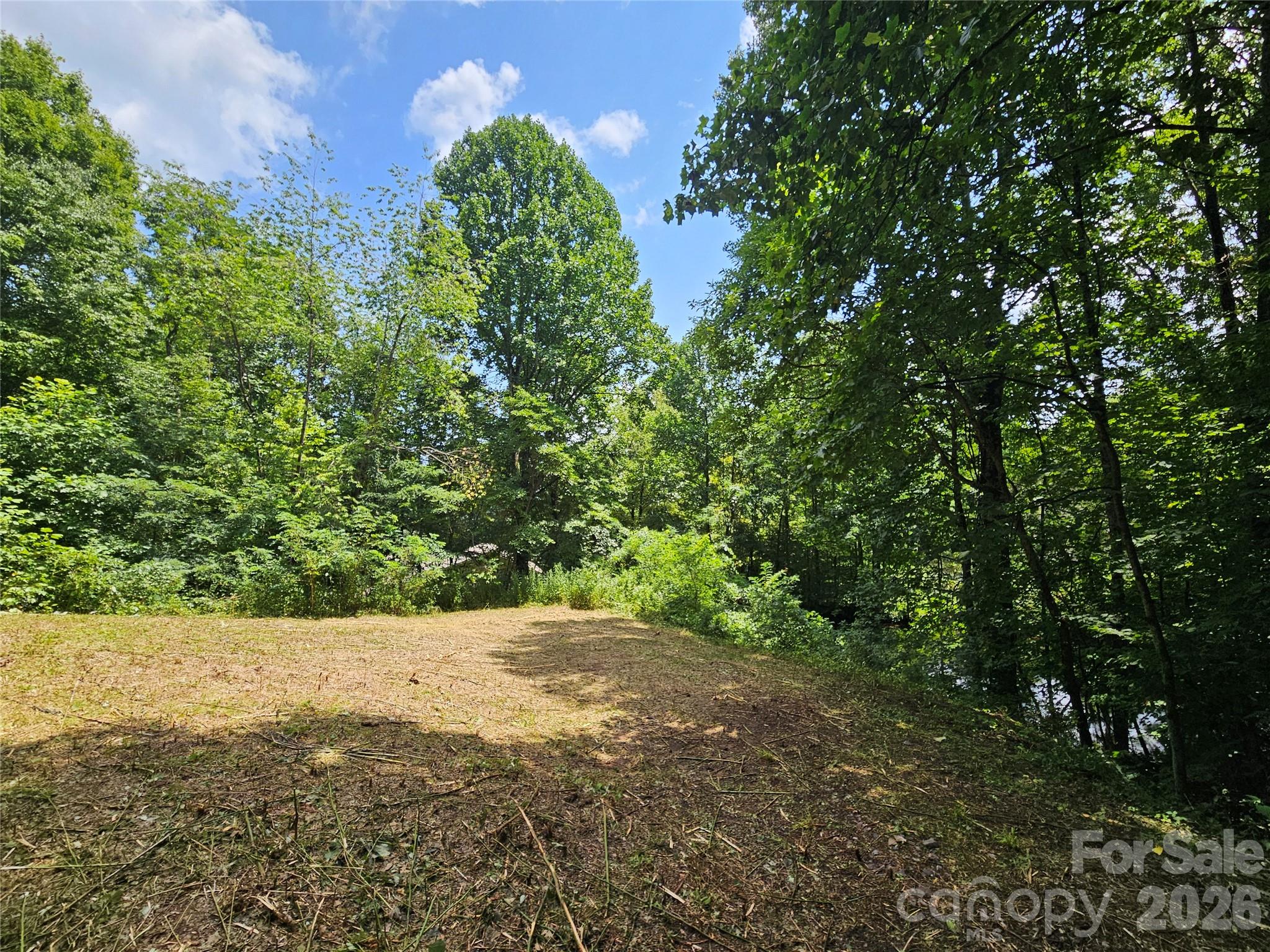 638 Crystal Tree Drive Property Photo 5