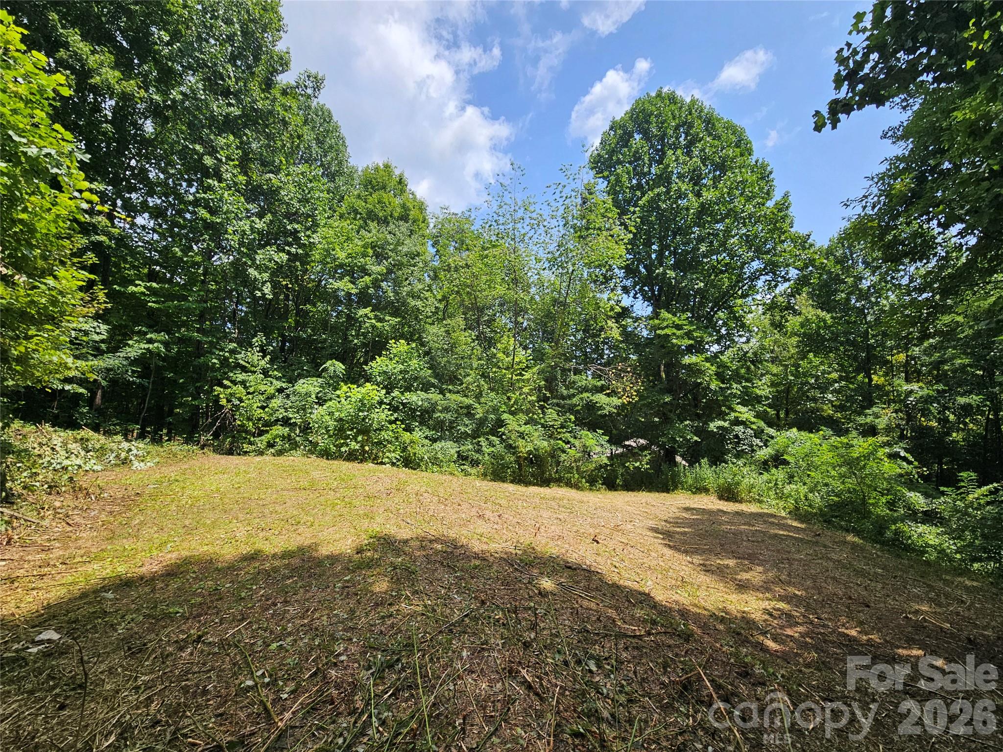 638 Crystal Tree Drive Property Photo 6