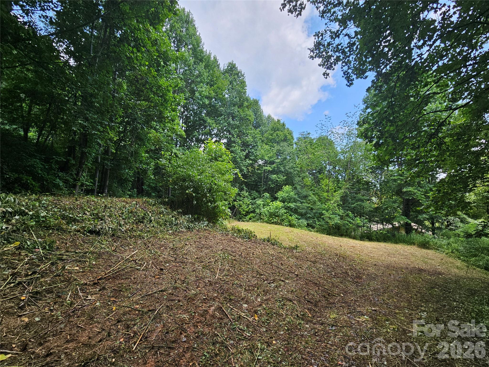 638 Crystal Tree Drive Property Photo 7