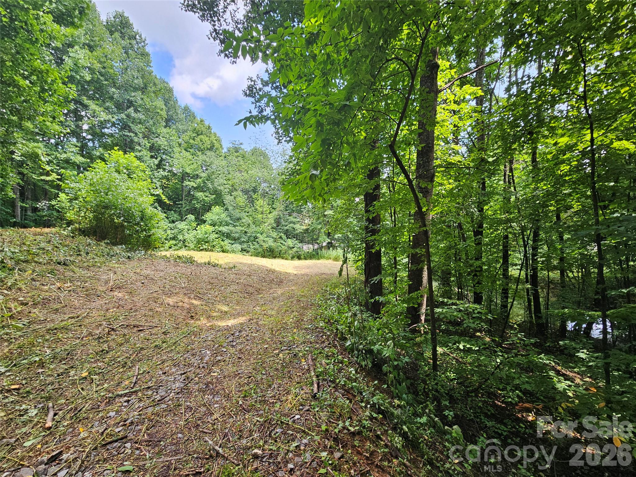 638 Crystal Tree Drive Property Photo 8