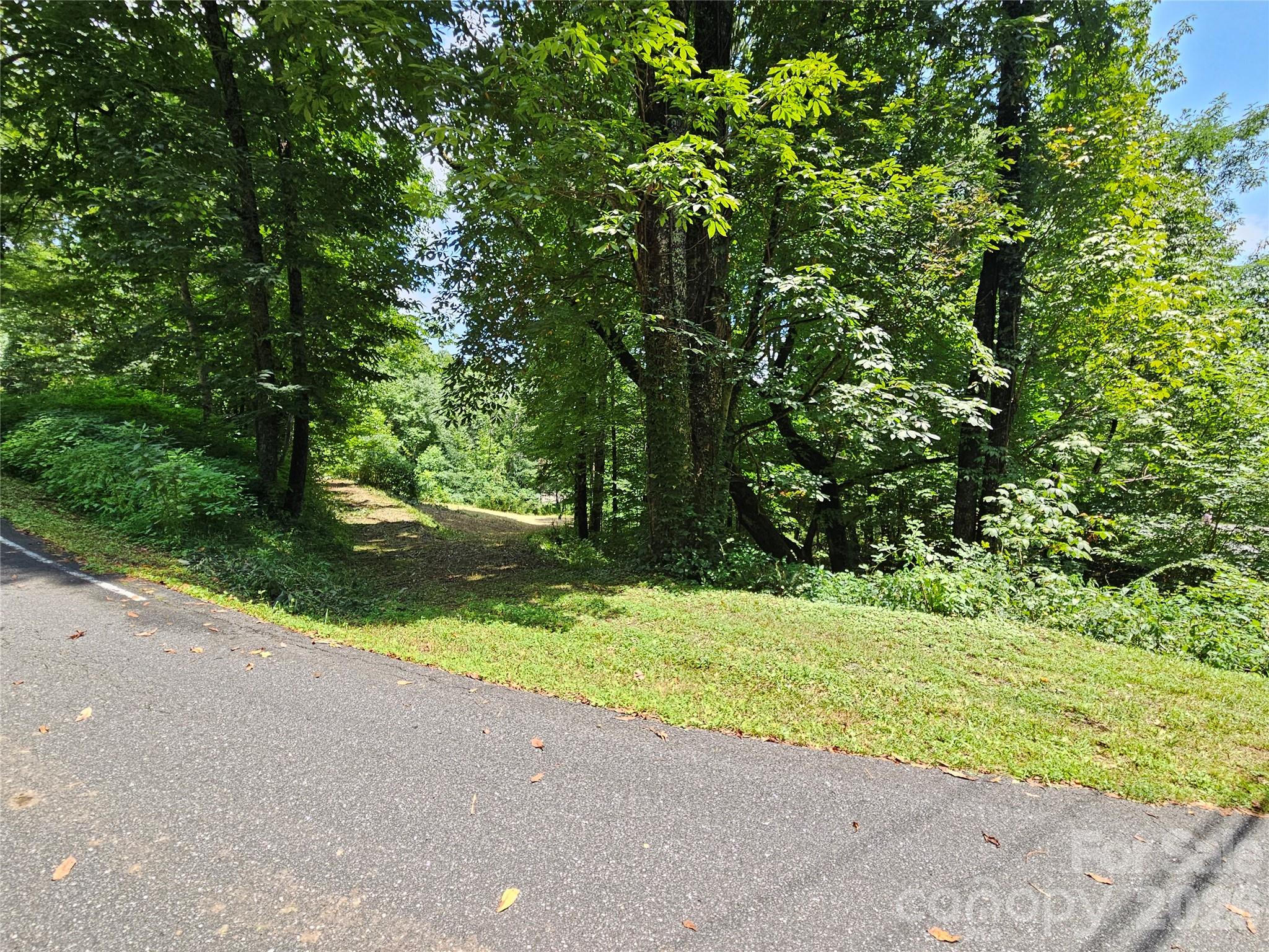 638 Crystal Tree Drive Property Photo 11