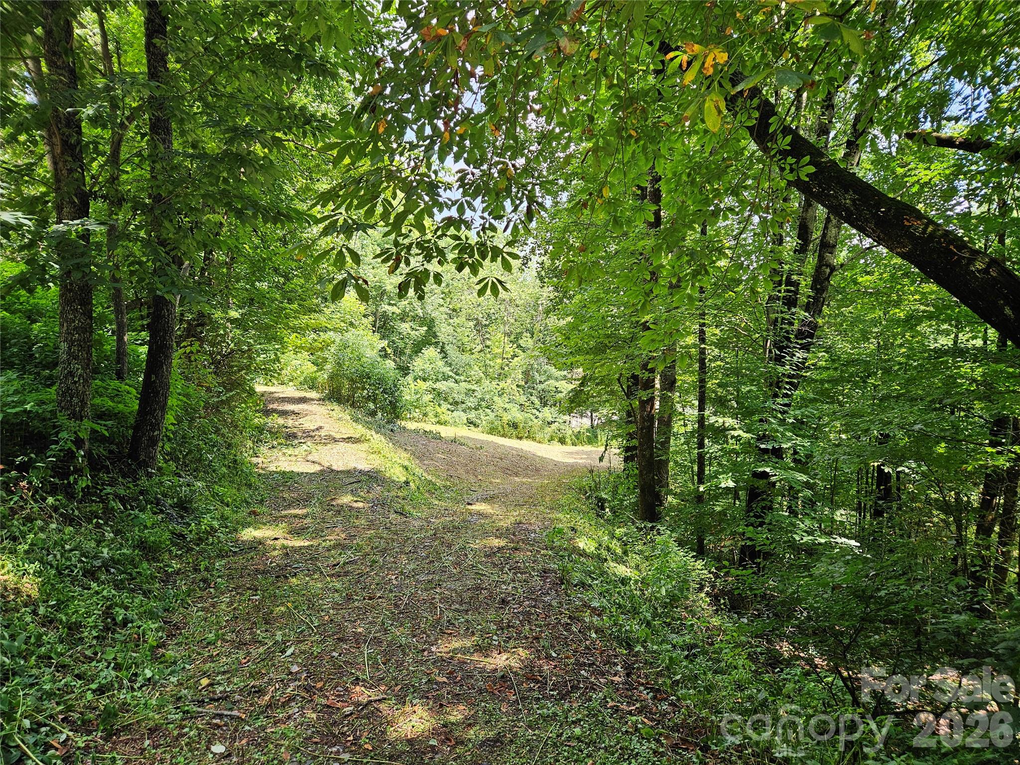 638 Crystal Tree Drive Property Photo 13