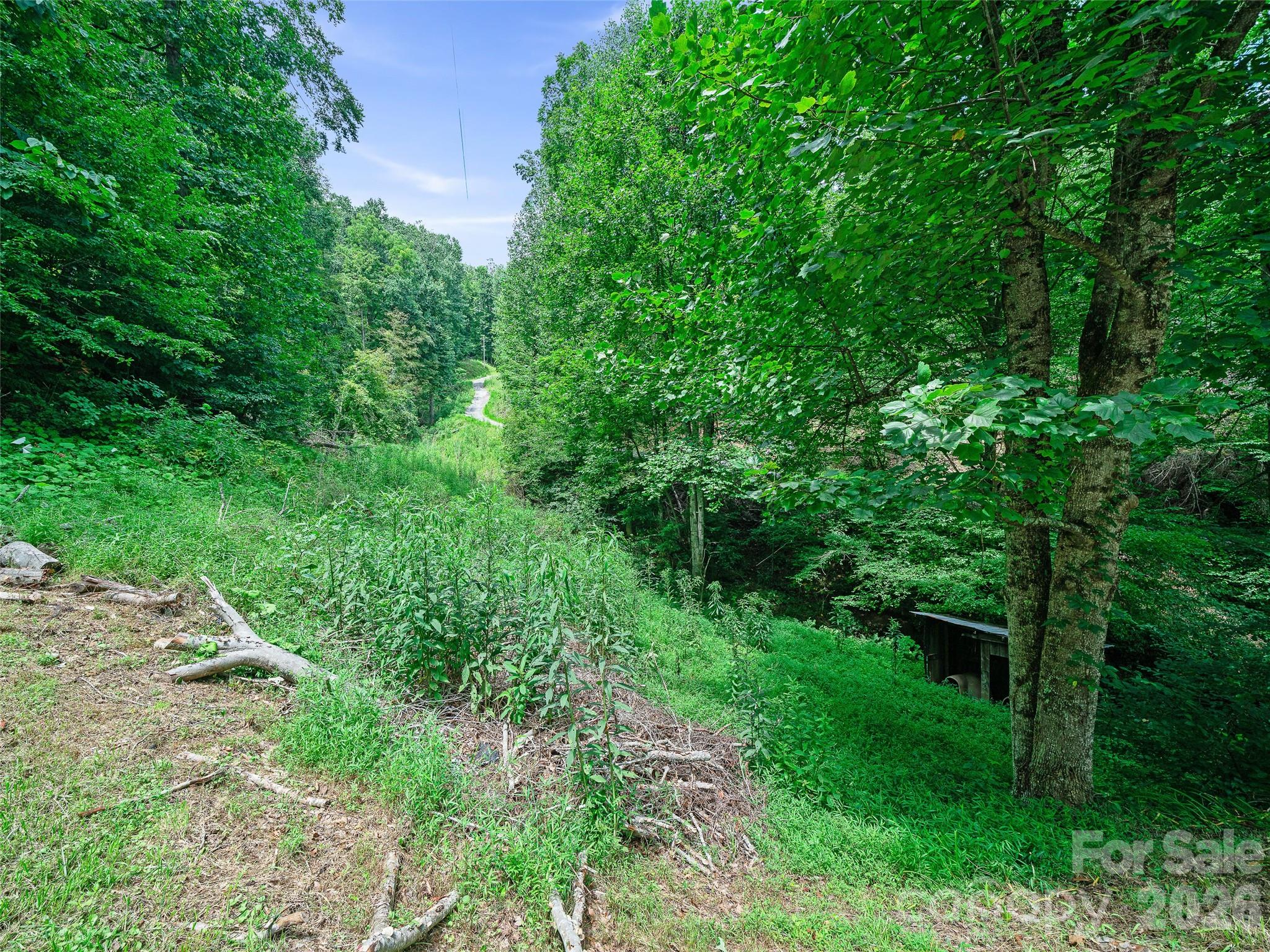 9851 Double Island Road Property Photo 27