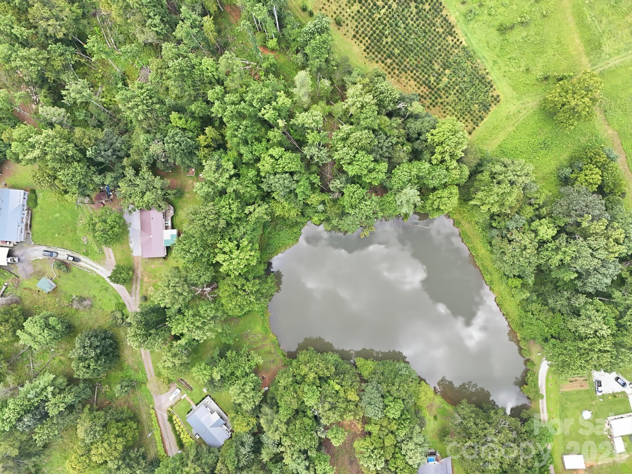 428 Hoot Owl Road Property Photo 31
