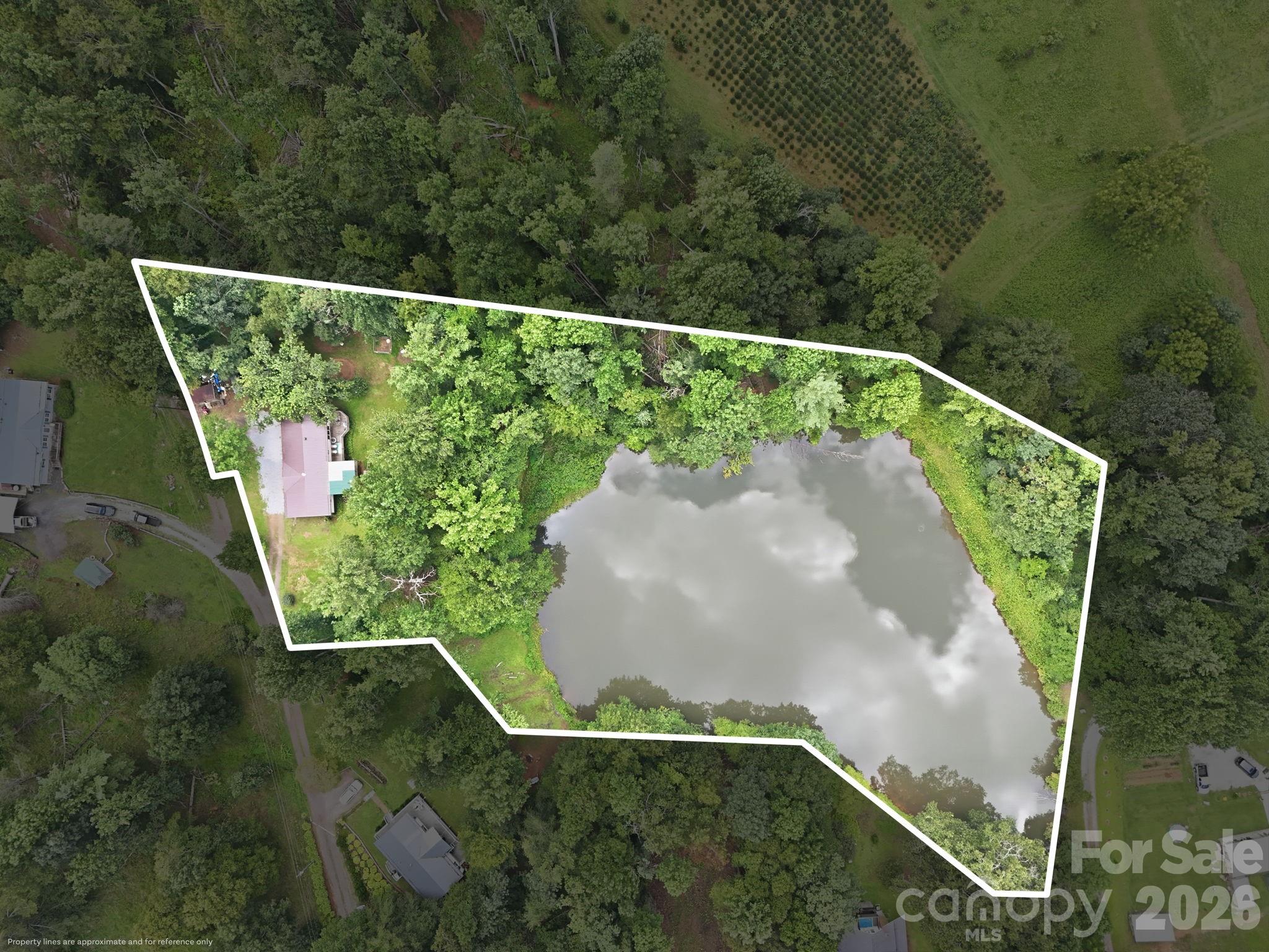 428 Hoot Owl Road Property Photo 33